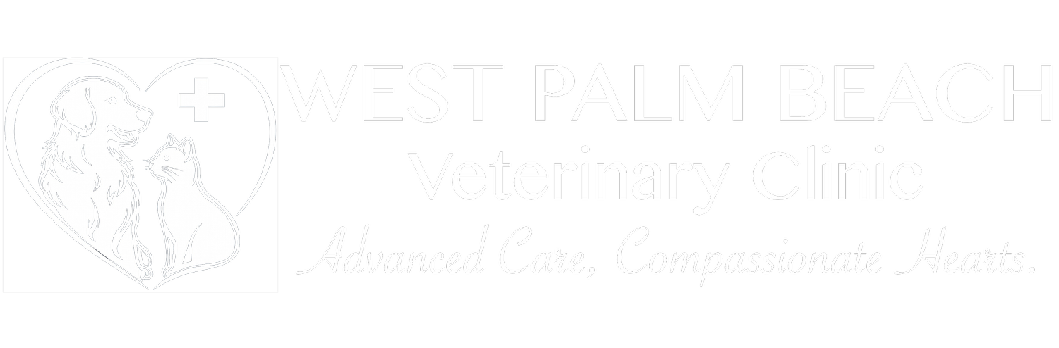 West Palm Beach Veterinary Clinic