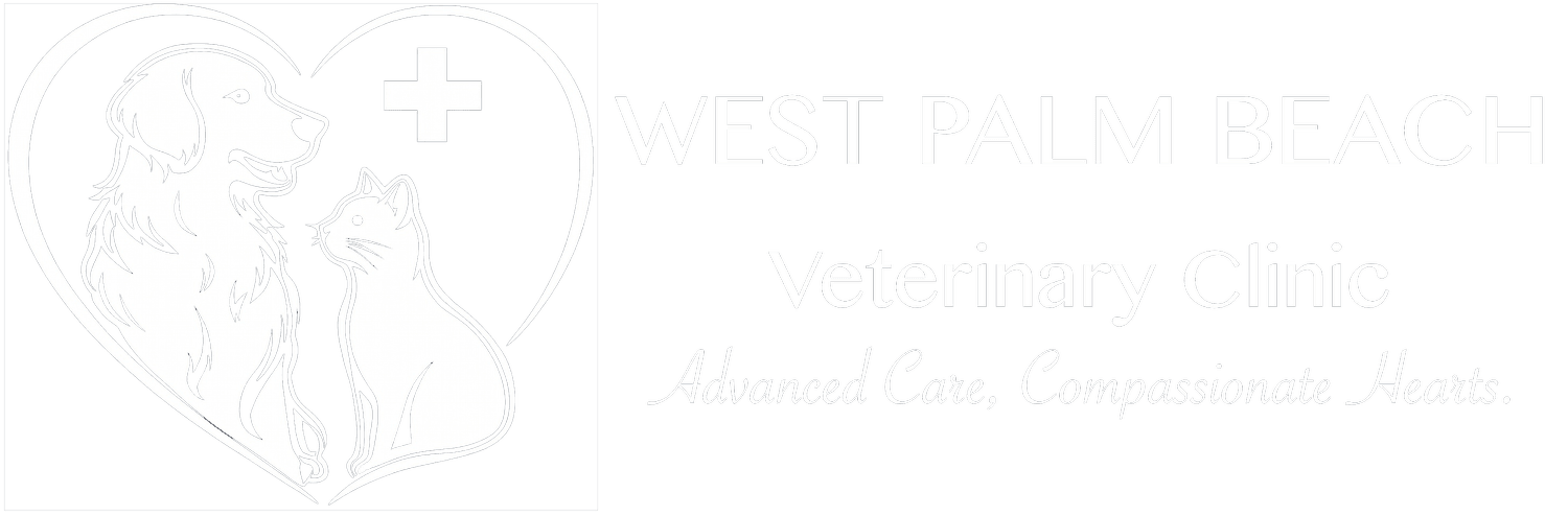 West Palm Beach Veterinary Clinic
