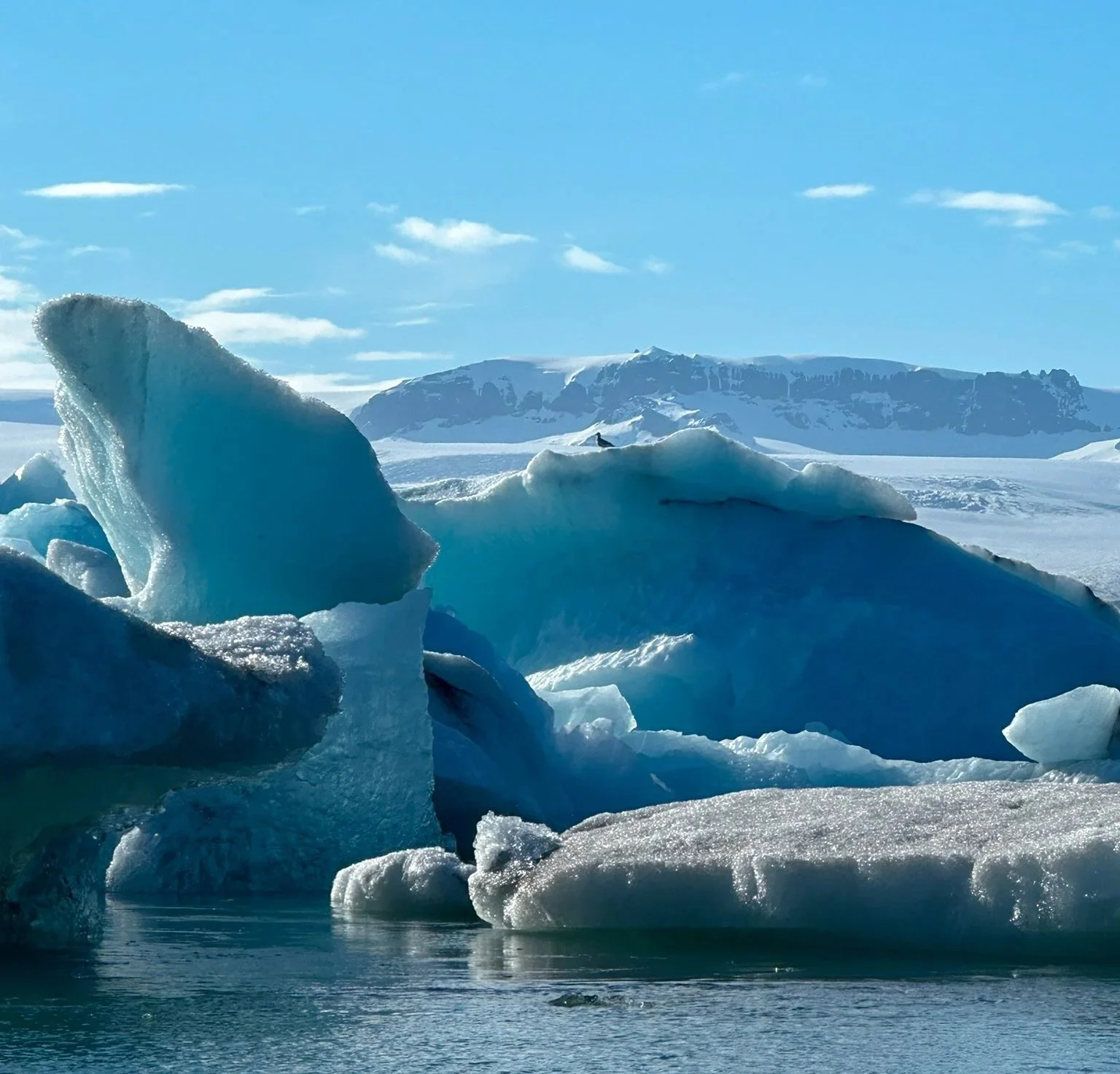 Icebergs floating in a cold, icy ocean with snow-covered mountains in the background under a blue sky.