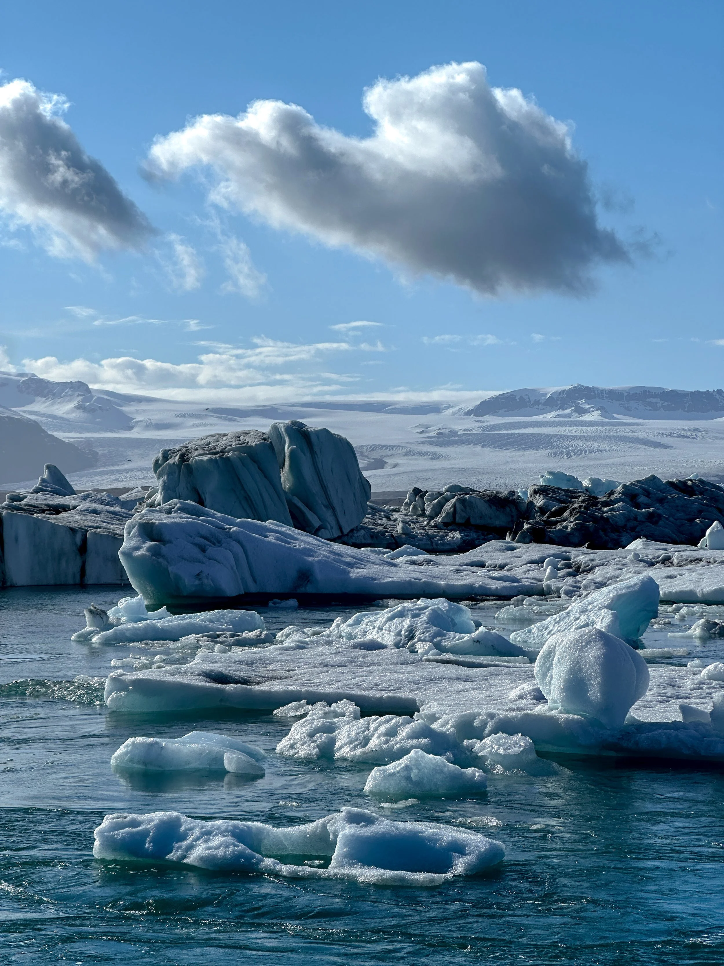 Icebergs floating in a cold sea with snow-covered mountains in the background under a partly cloudy sky.
