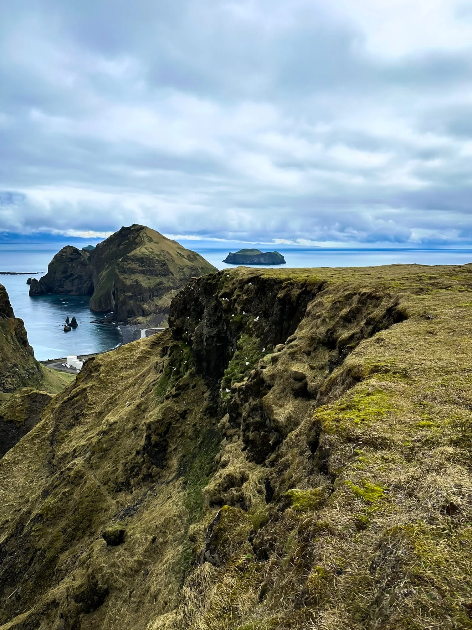 Coastal landscape with moss-covered cliffs, rugged hills, and rock formations overlooking the ocean under a cloudy sky.