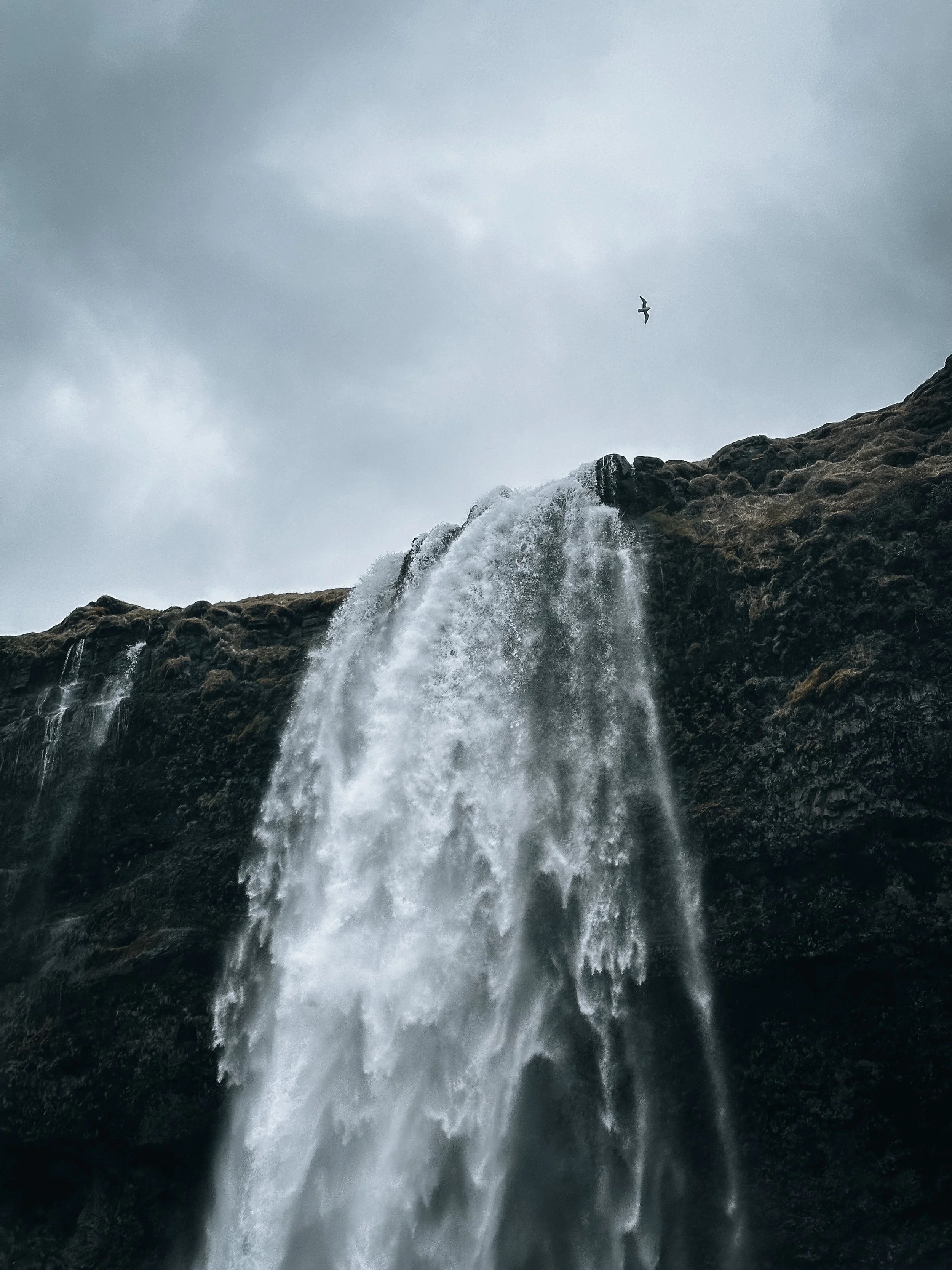 Waterfall cascading down a rocky cliff against a cloudy sky, with a bird flying overhead.