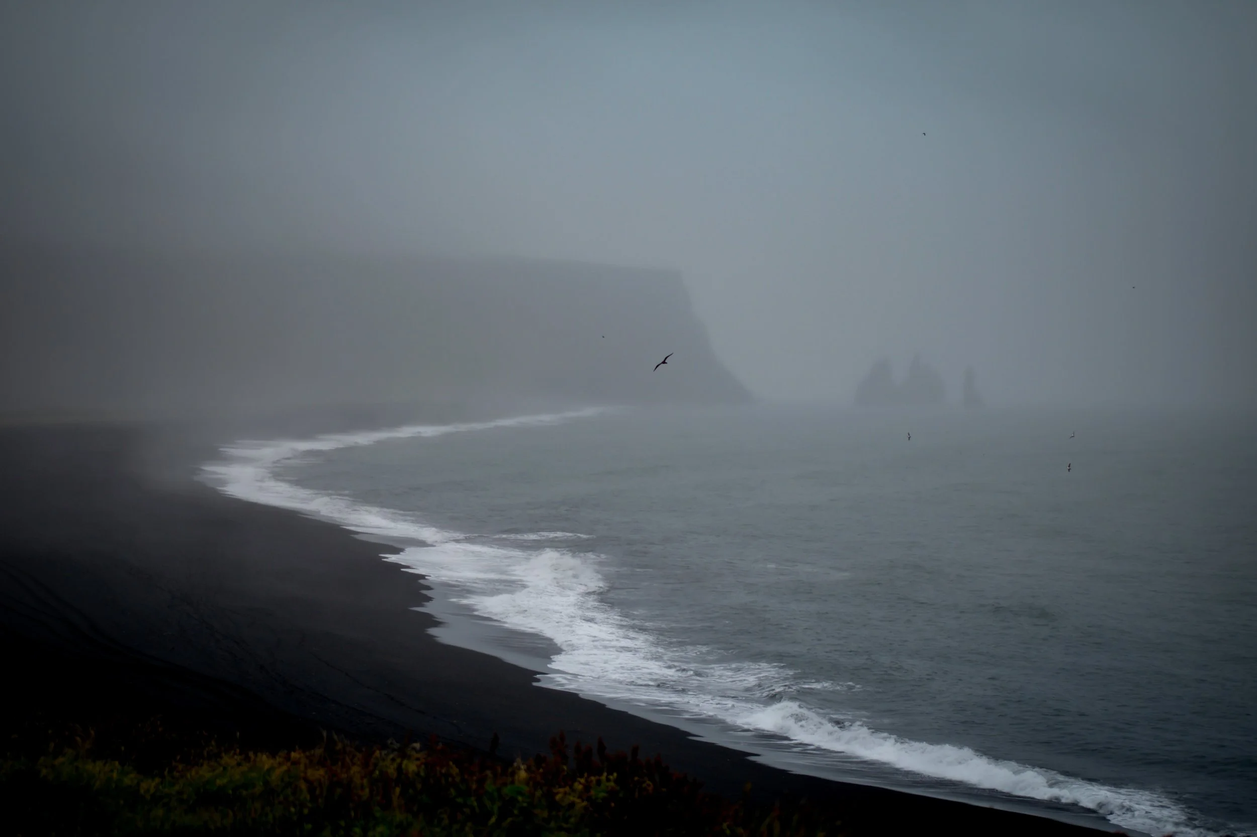 A foggy seashore with cliffs and a few birds flying over the ocean.
