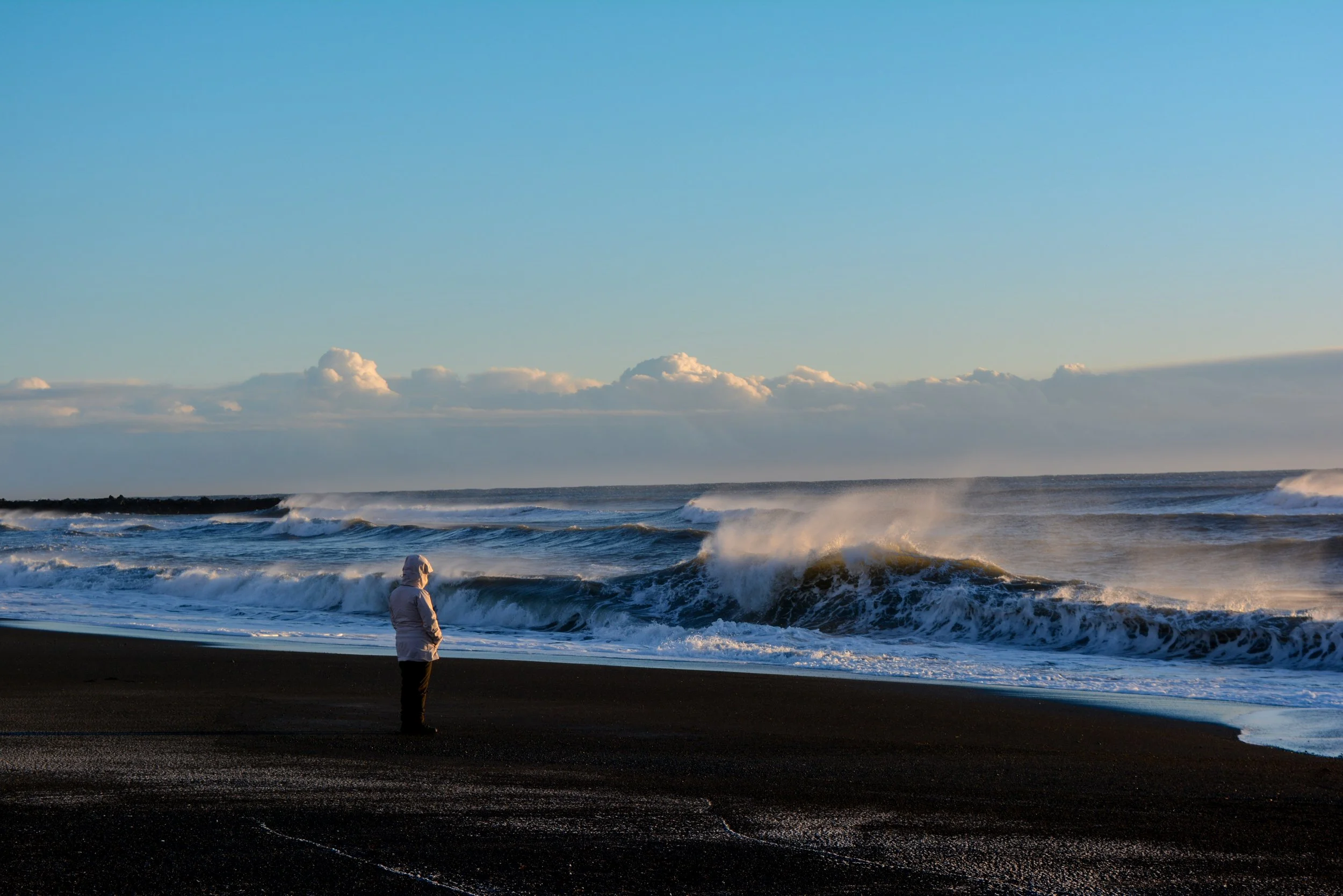 Person standing on a black sand beach, facing ocean waves under a cloudy sky.