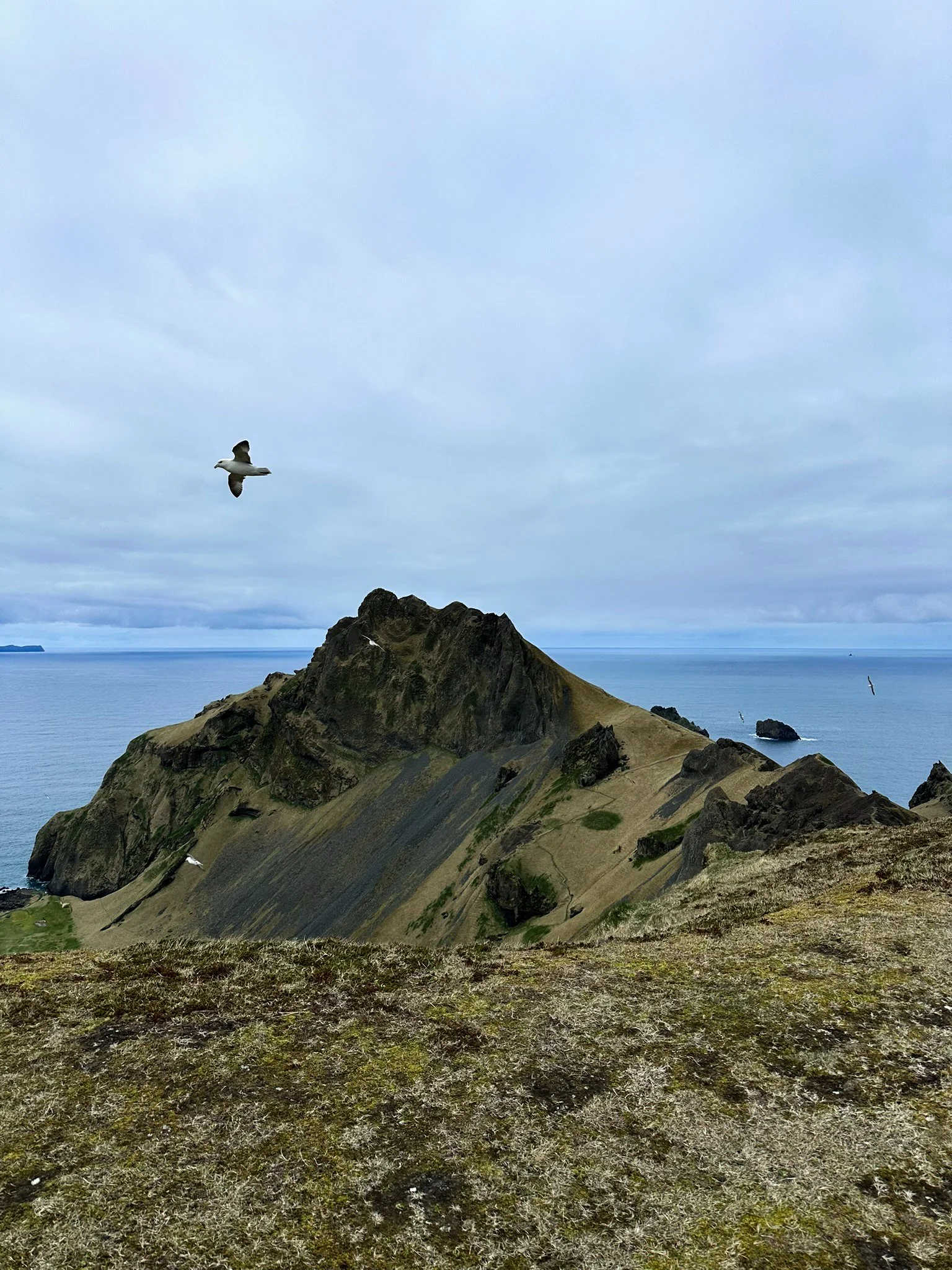A rocky coastal landscape with a mountain, sea, cloudy sky, and two seagulls flying.