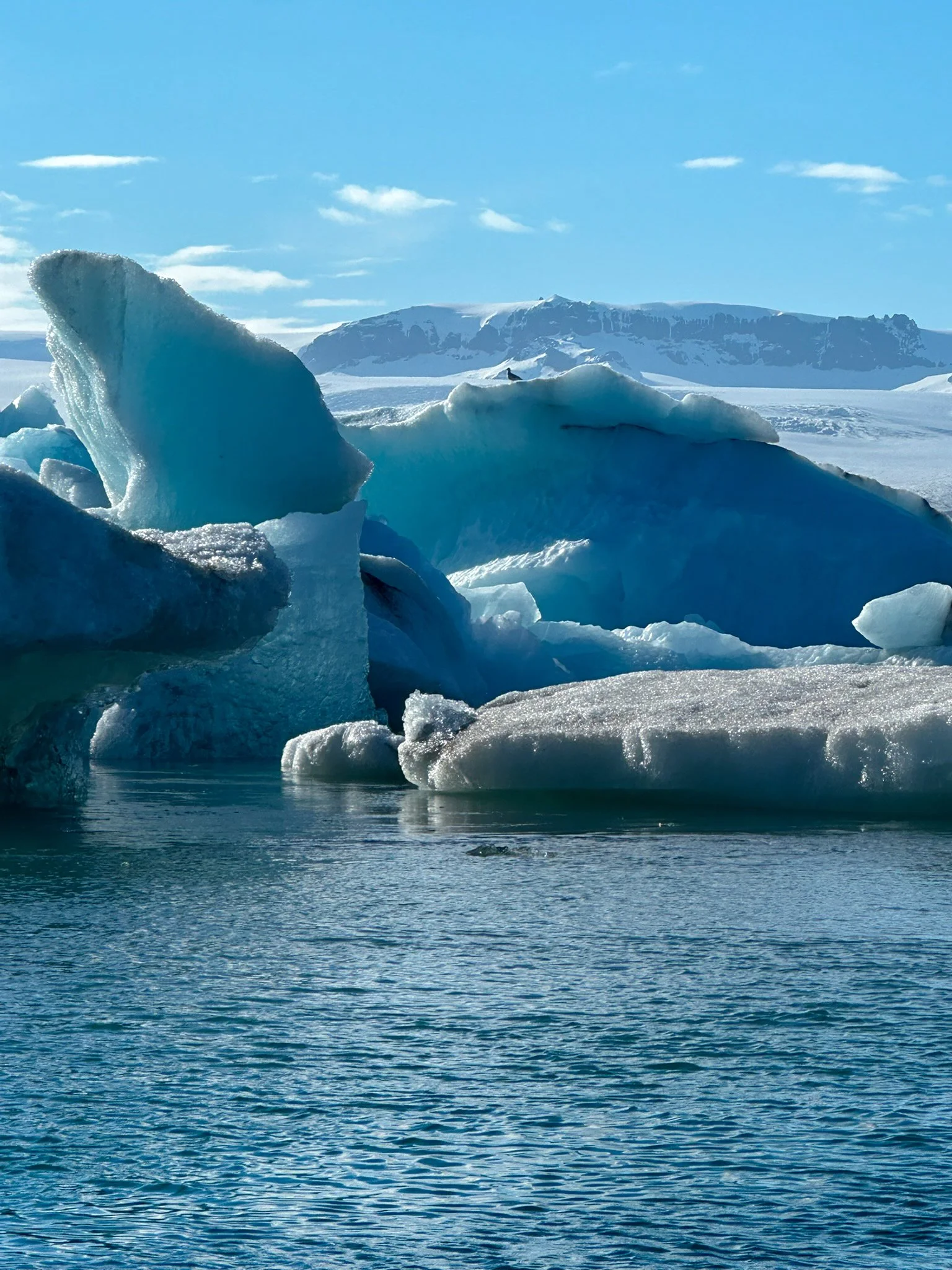 Icebergs floating in cold ocean with snow-covered mountain in background under a blue sky with few clouds.