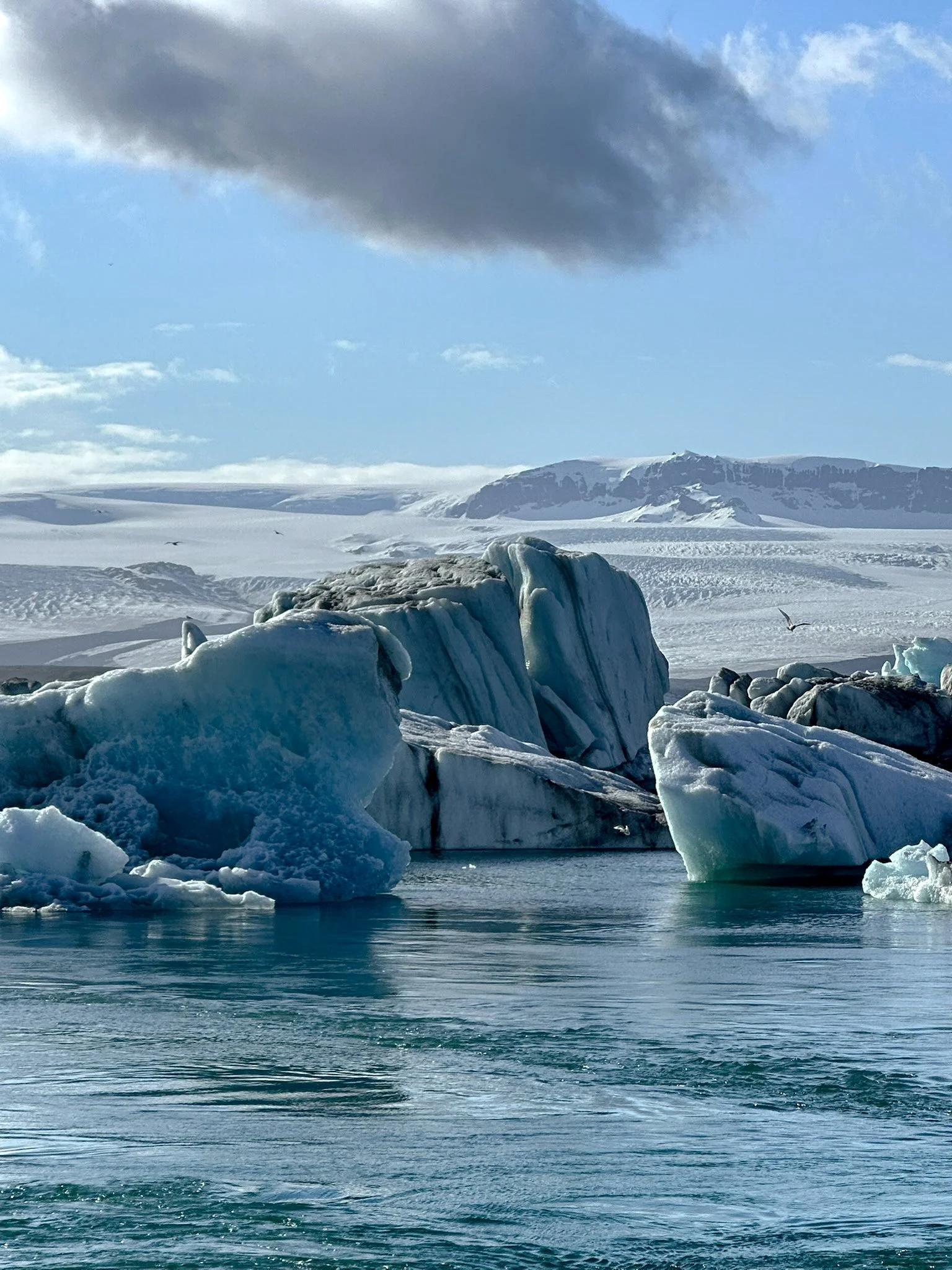 A cold icy landscape with large floating icebergs in a body of water, snow-covered land in the background, and a blue sky with clouds overhead.