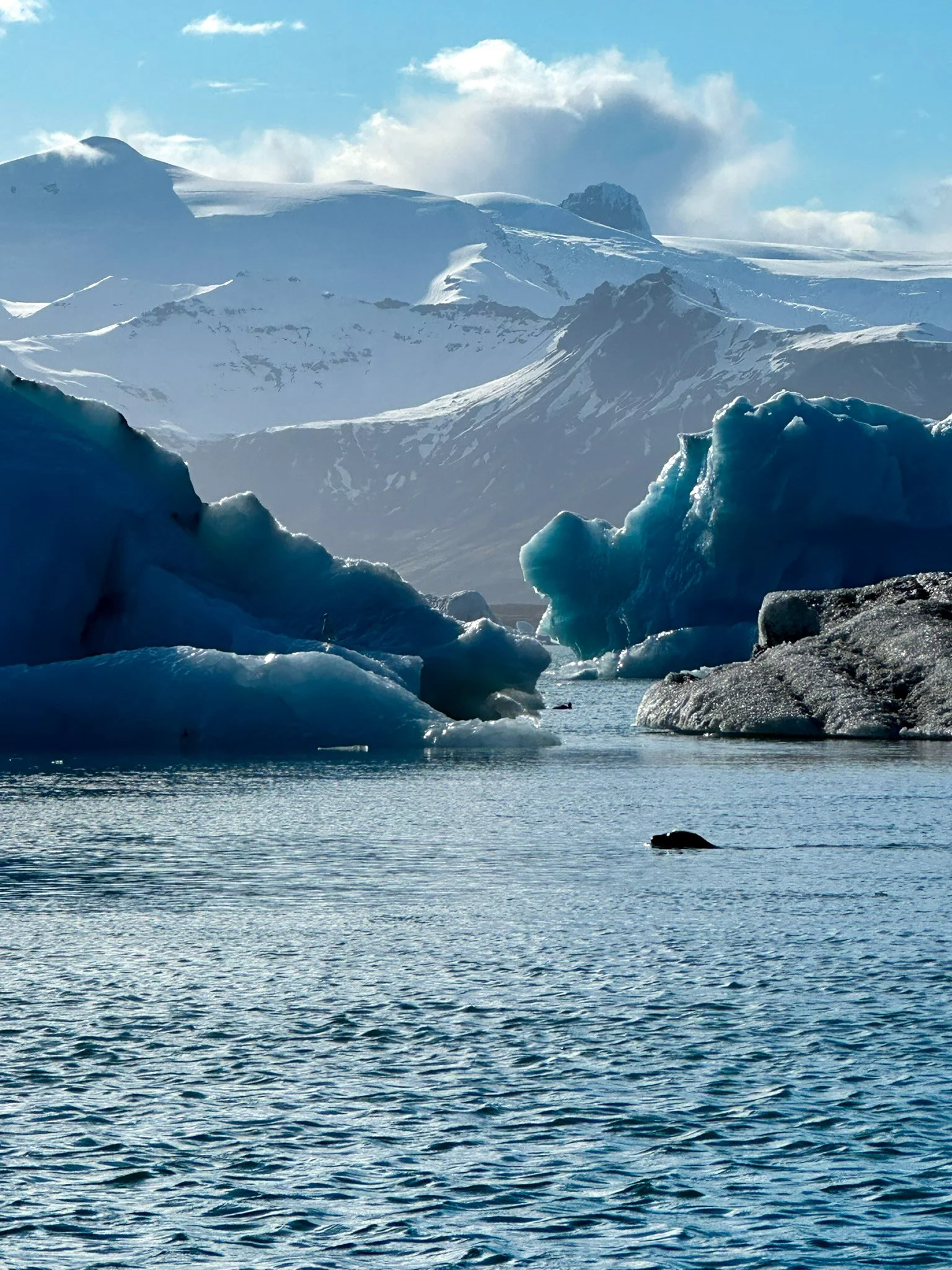 Icebergs floating in the ocean with snow-covered mountains in the background on a partly cloudy day.