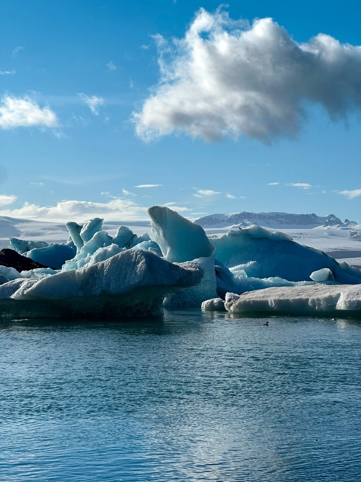 Icebergs floating in a calm glacial water body under a partly cloudy sky, with snow-covered mountains in the background.