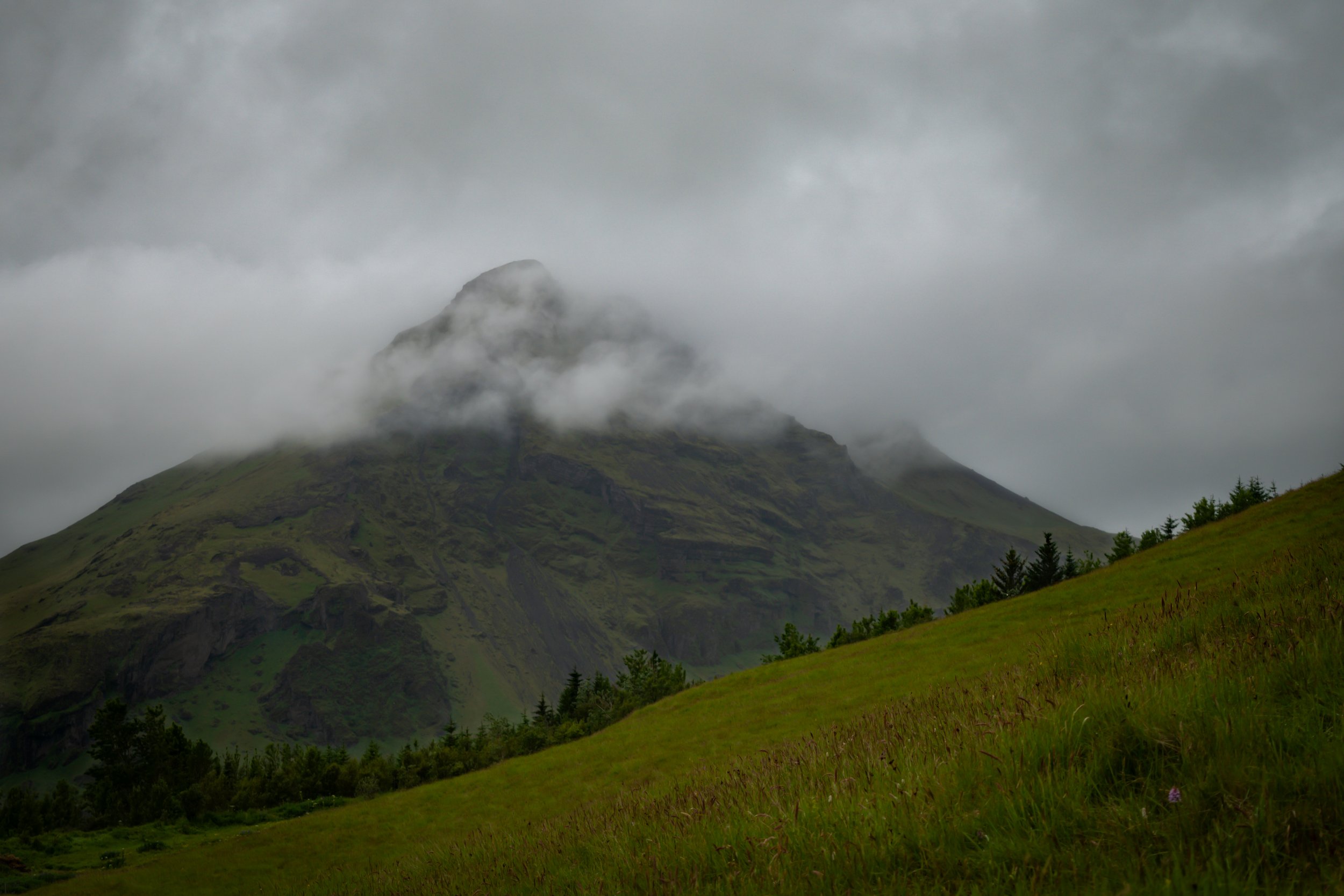 A mountain partially covered by clouds and fog, with a grassy hillside and trees in the foreground.