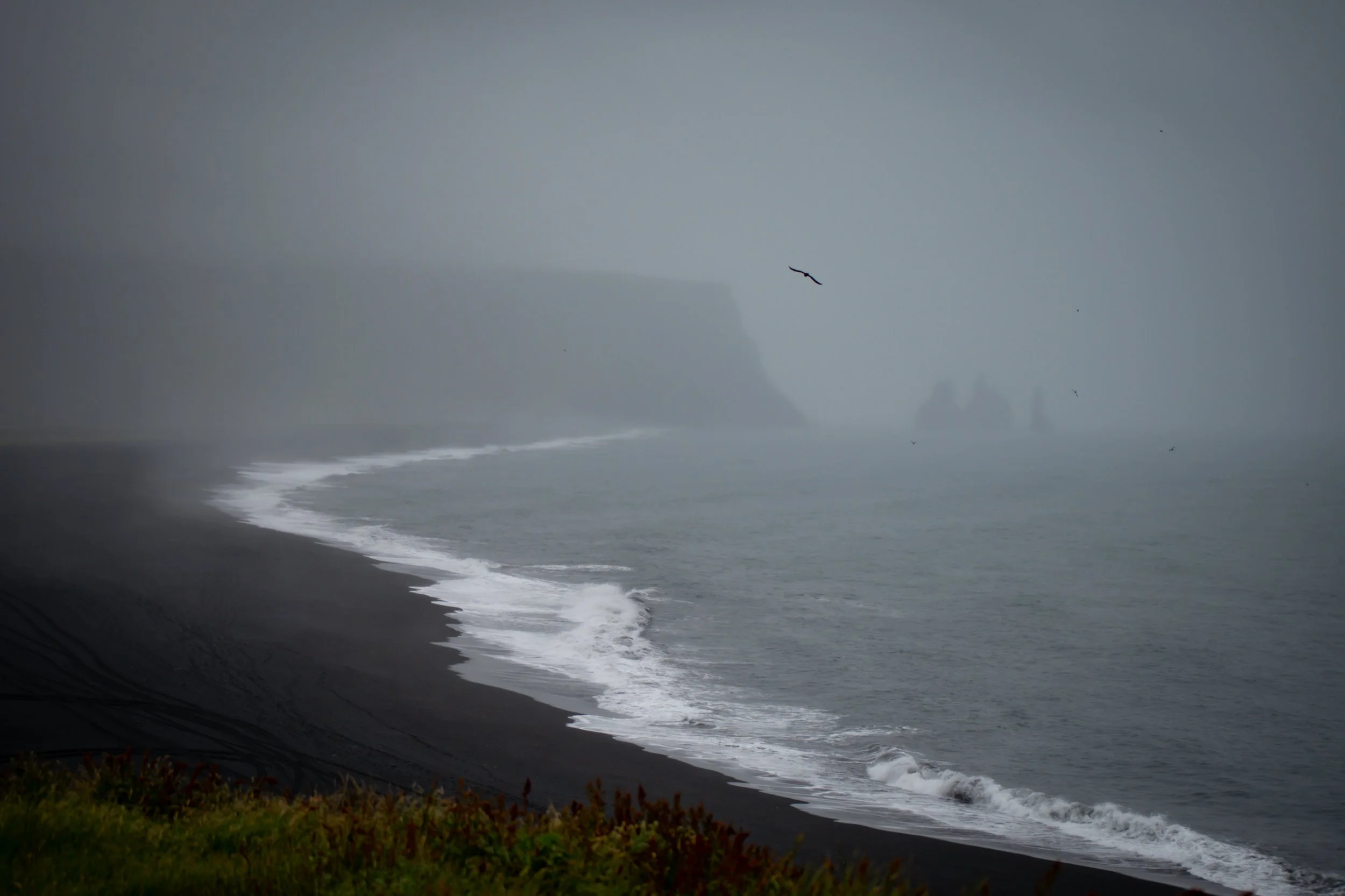 A foggy coastline with black sand and crashing waves, with cliffs and birds flying overhead.