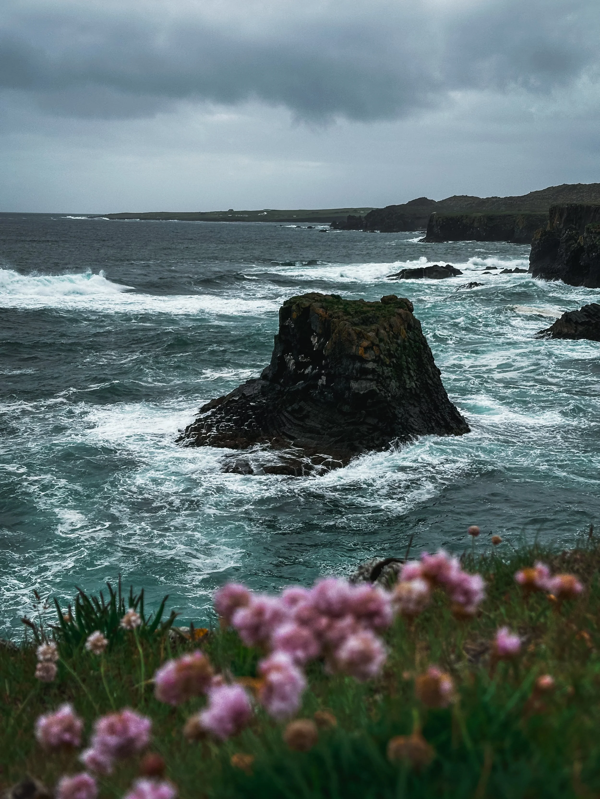 Coastal scene featuring dark clouds in the sky, rugged cliffs along the shoreline, and rough ocean waves crashing against rocks, with pink flowers and green grass in the foreground.