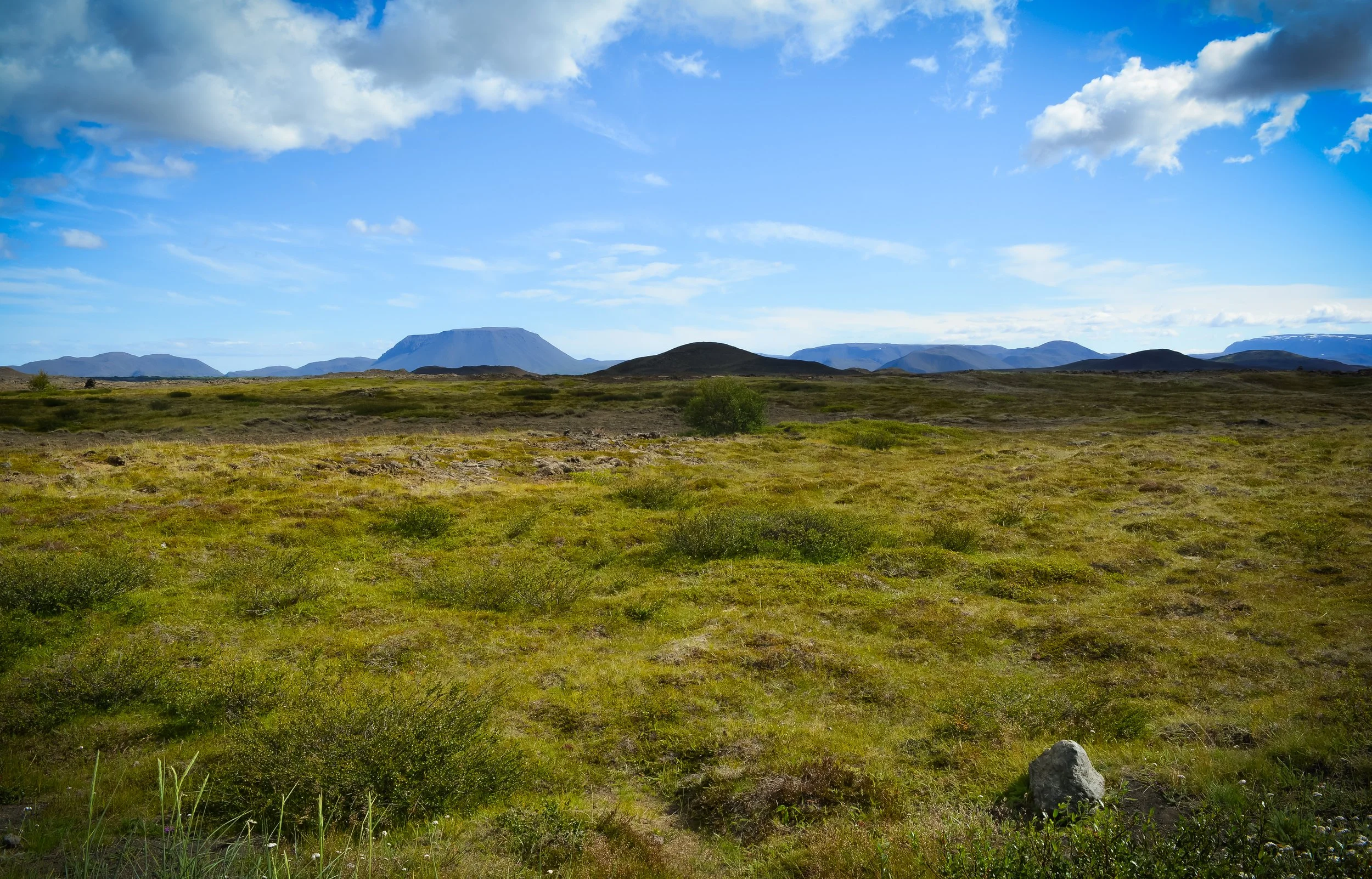 Open landscape with grassy plains, small shrubs, and distant mountains under a bright blue sky with scattered clouds.
