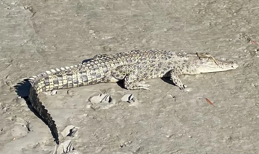 Photo 29-7-2021, 8 28 07 am.jpg