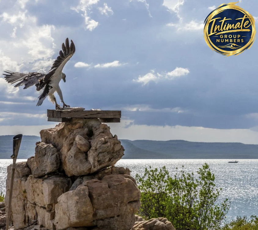 An osprey bird perched on a stack of rocks near a body of water, with mountains in the background, under a partly cloudy sky.