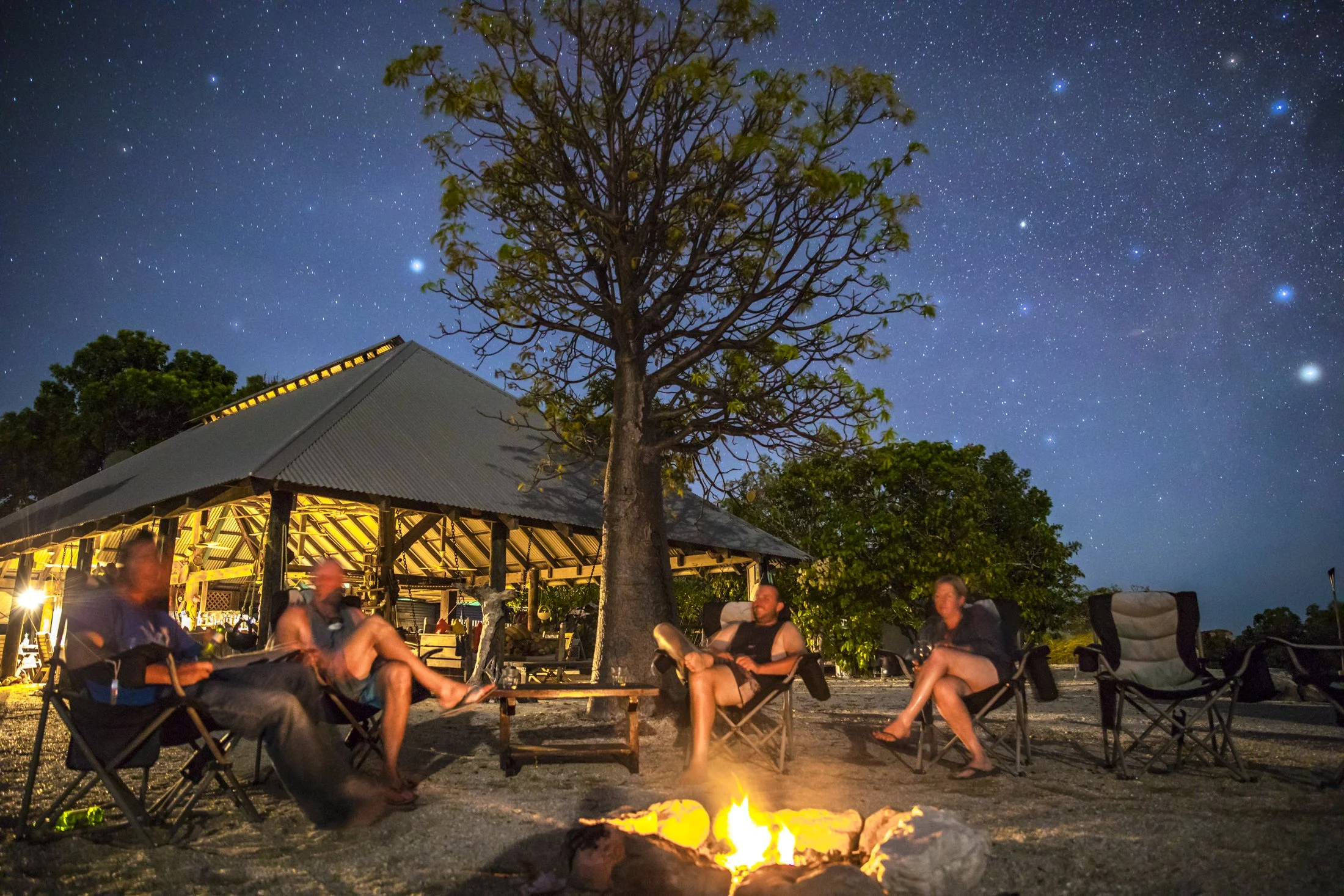 People sitting around a campfire at night under a starry sky, with a pavilion and a large tree nearby.