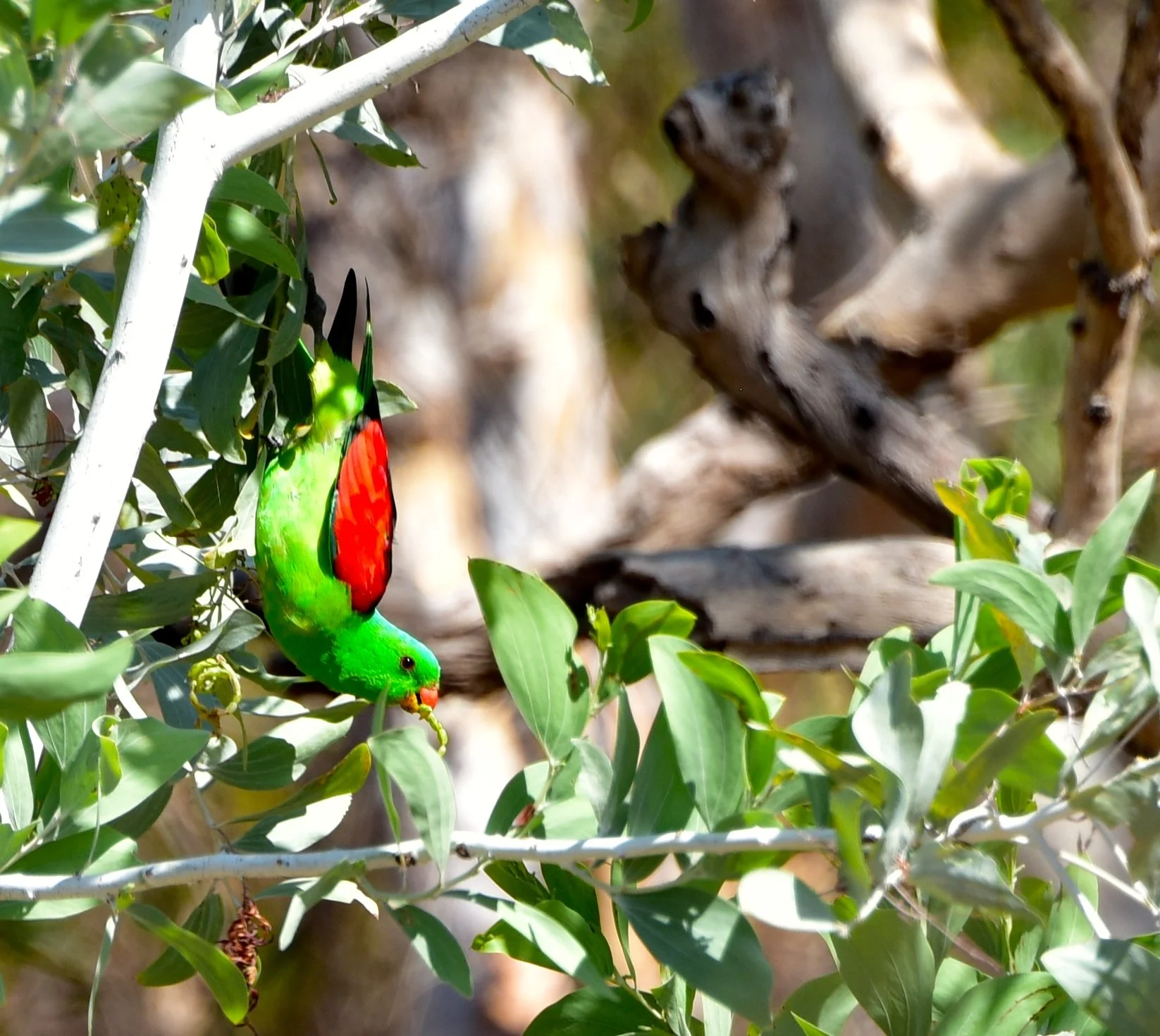 2015-10-03 08.19.32-1.jpg