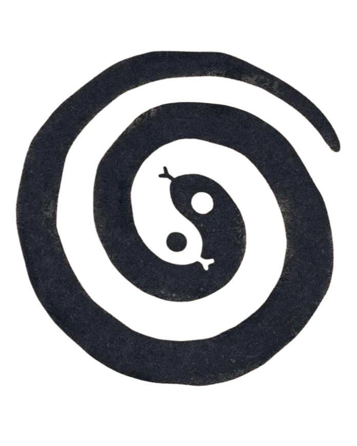 A black spiral-shaped object with a yin-yang symbol inside.