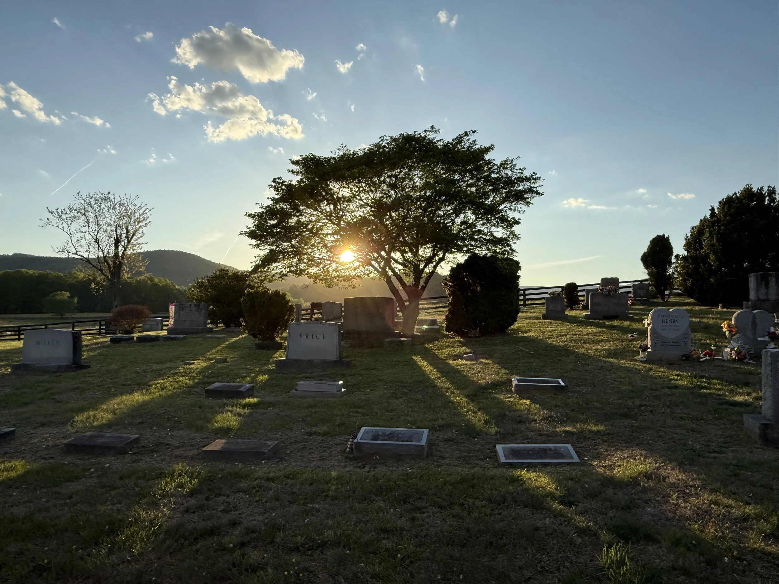 A cemetery with headstones and graves illuminated by the setting sun. A large tree stands in the middle, casting long shadows. The sky is partly cloudy with a few clouds and a visible contrail.