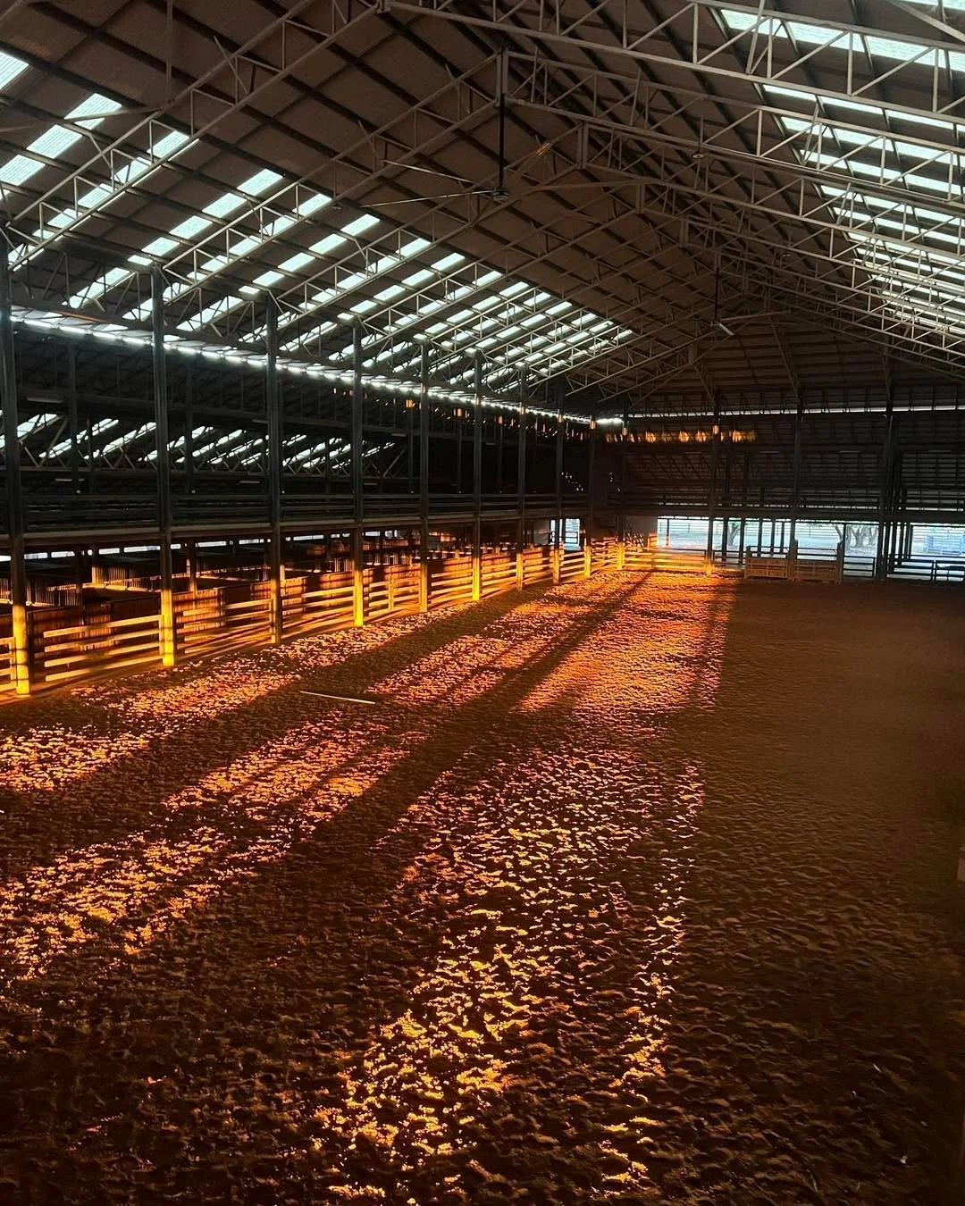 Venue sneak peak!

We have the privilege of hosting this years ladies day at Tipperary Station, on the arena. 

With a few decorations to hang and ice buckets to fill we think it will give a spectacular wow factor!