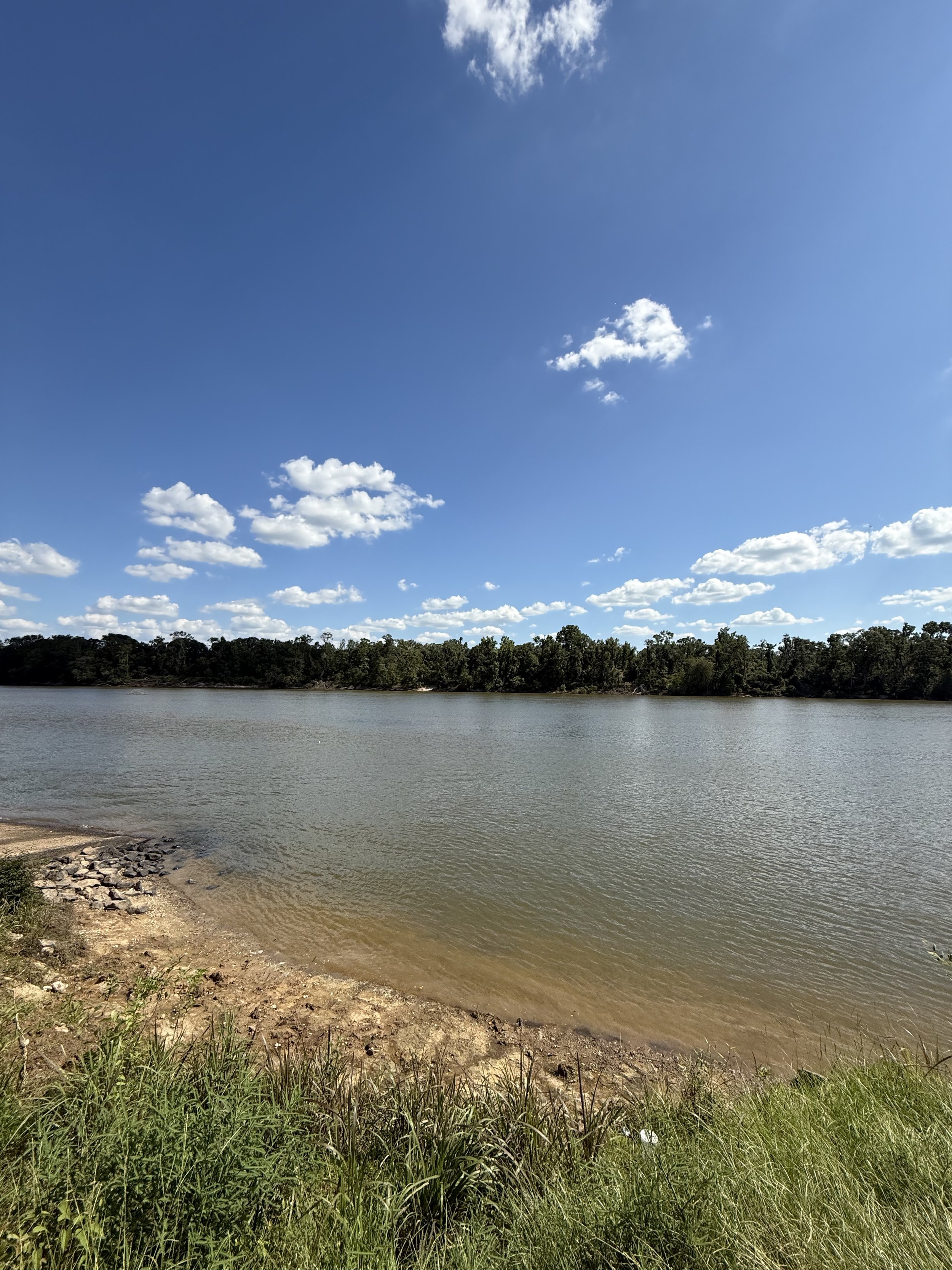 A peaceful lake scene under a bright blue sky with scattered white clouds, surrounded by green trees and grassy shoreline.