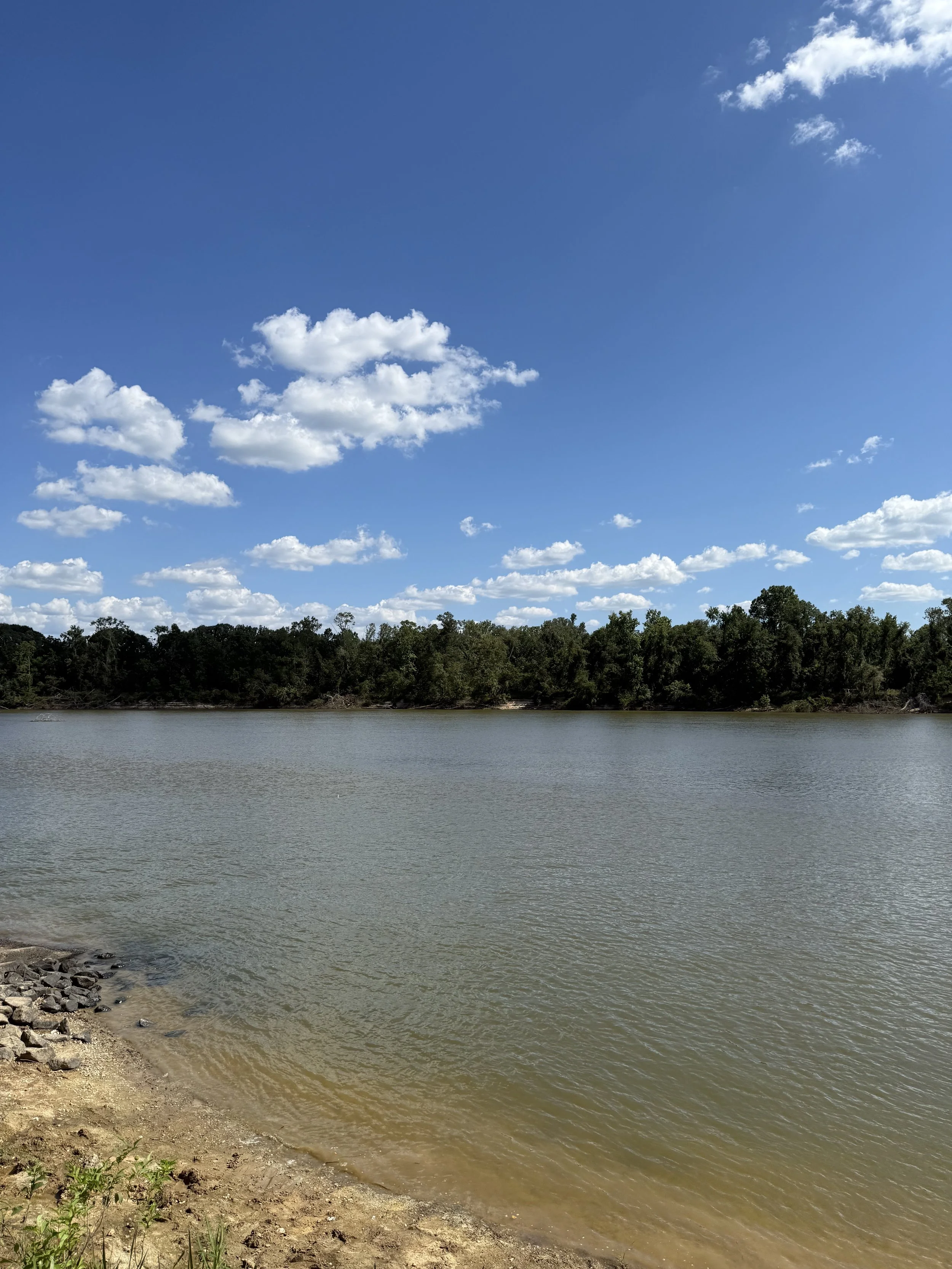 A peaceful lake view with a sandy shoreline, calm water, a tree-lined horizon, and a bright blue sky with scattered white clouds.