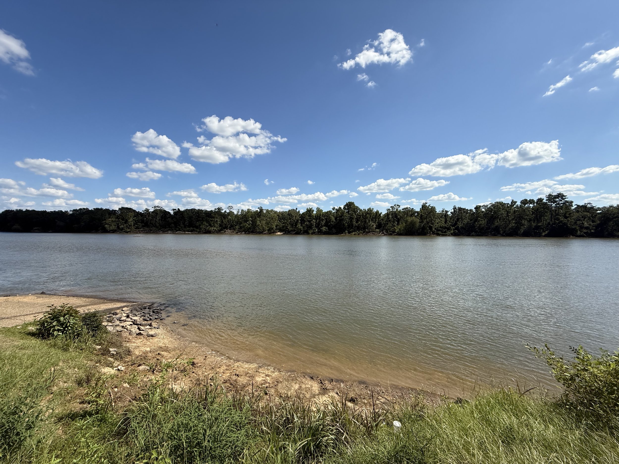 Calm lake with a sandy shoreline and grassy foreground under a blue sky with scattered white clouds, lined with trees in the distance.