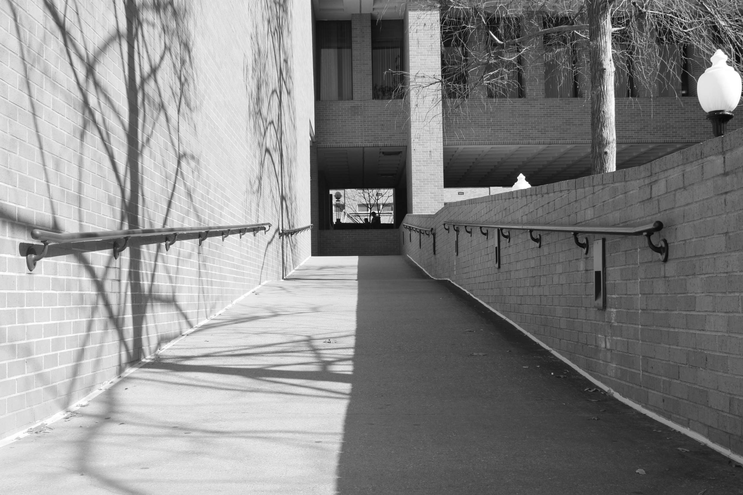 From the B&W Collection "Passing Through"