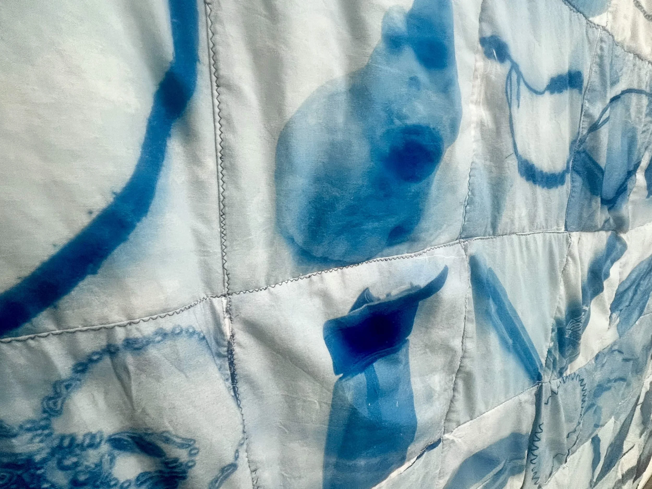 From the Cyanotype Project "Lost and Found"