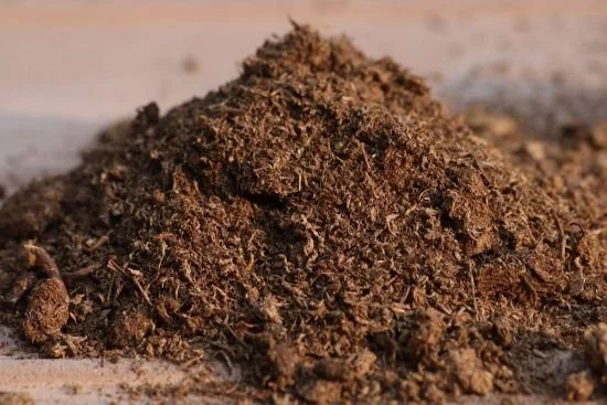 Close-up of a small mound of peat moss.