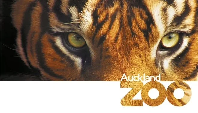Tiger copy.jpg