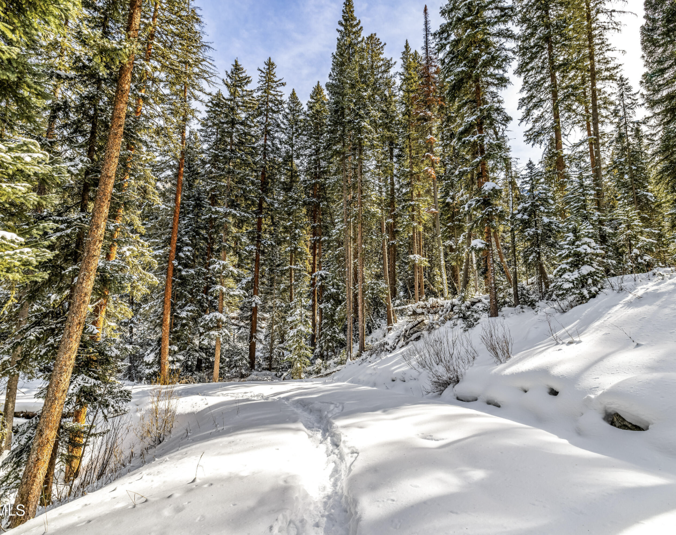 Screenshot 2026-03-14 at 12.22.59 PM.png