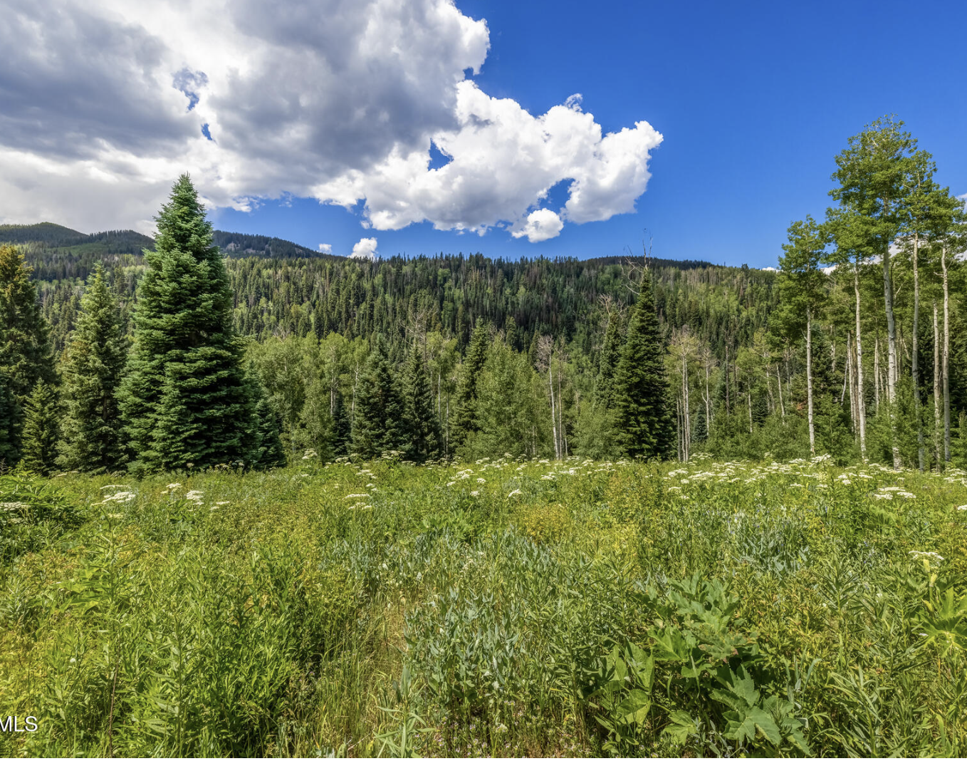 Screenshot 2026-03-14 at 12.26.56 PM.png