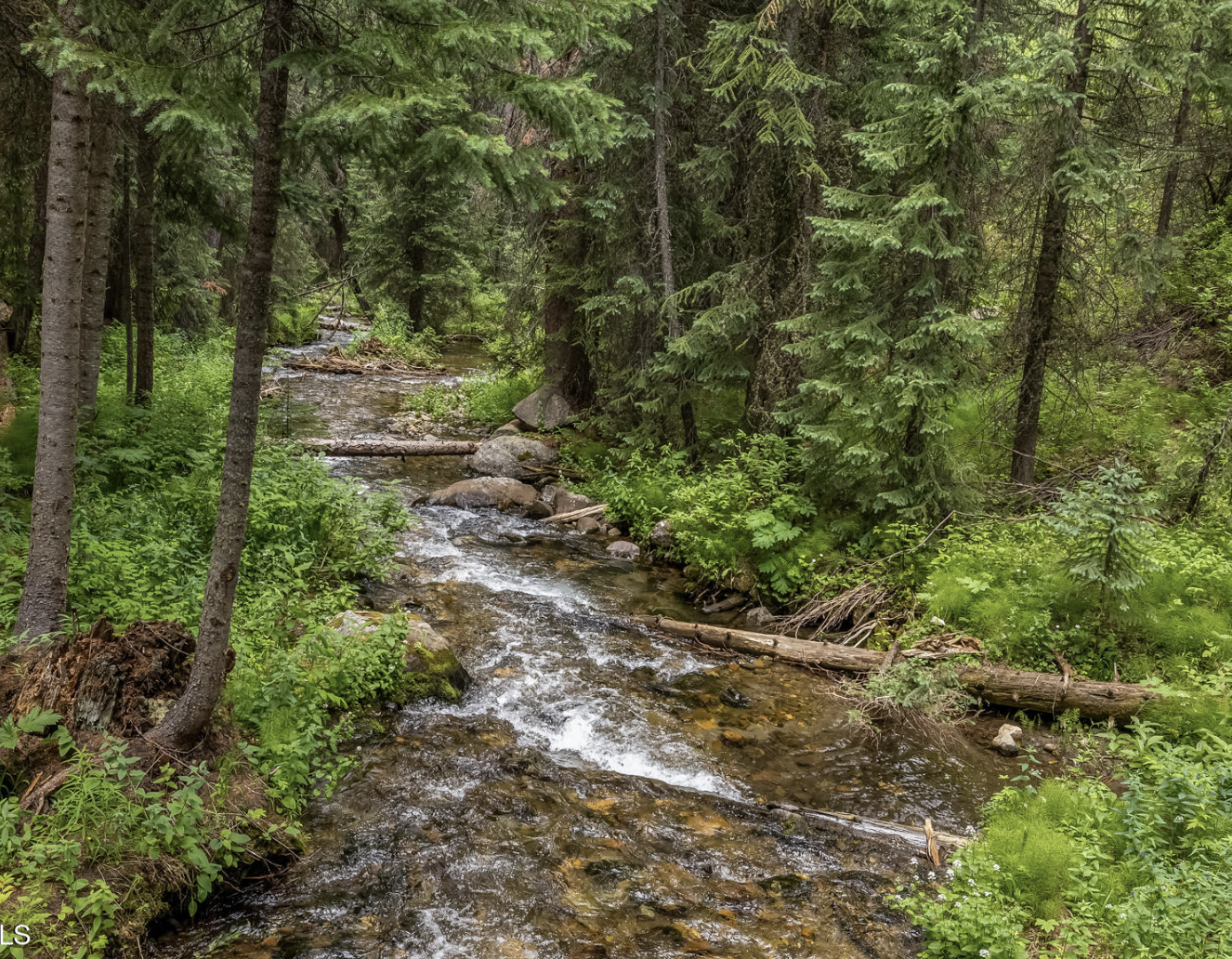 Screenshot 2026-03-14 at 12.16.17 PM.png