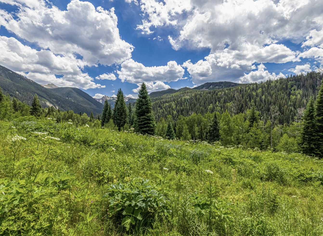 Screenshot 2026-03-14 at 12.27.24 PM.png