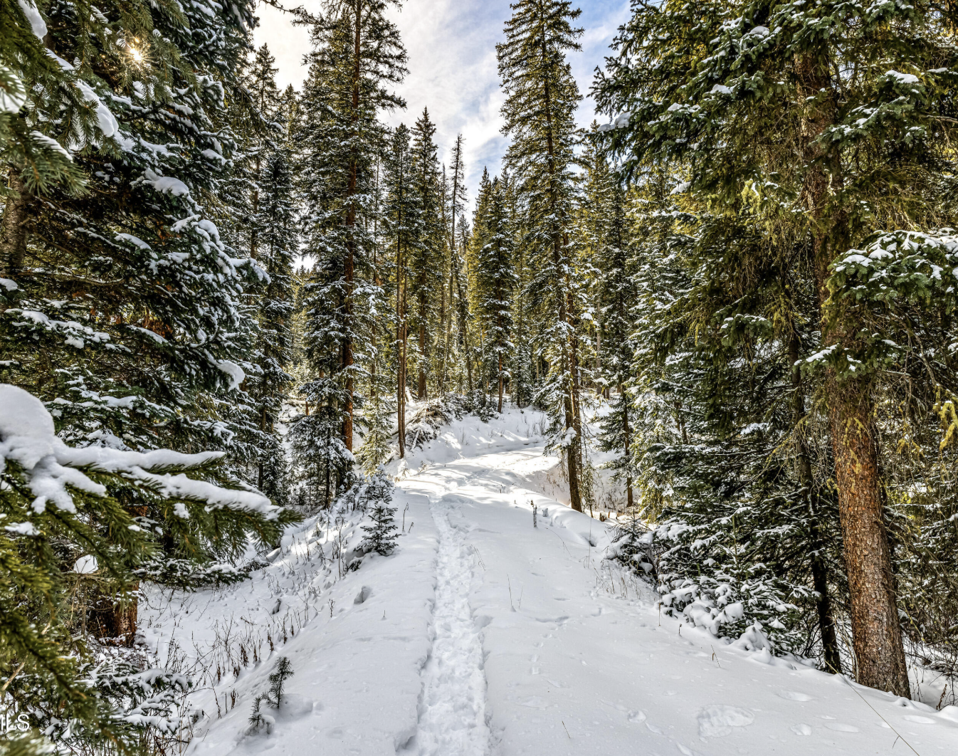 Screenshot 2026-03-14 at 12.23.11 PM.png