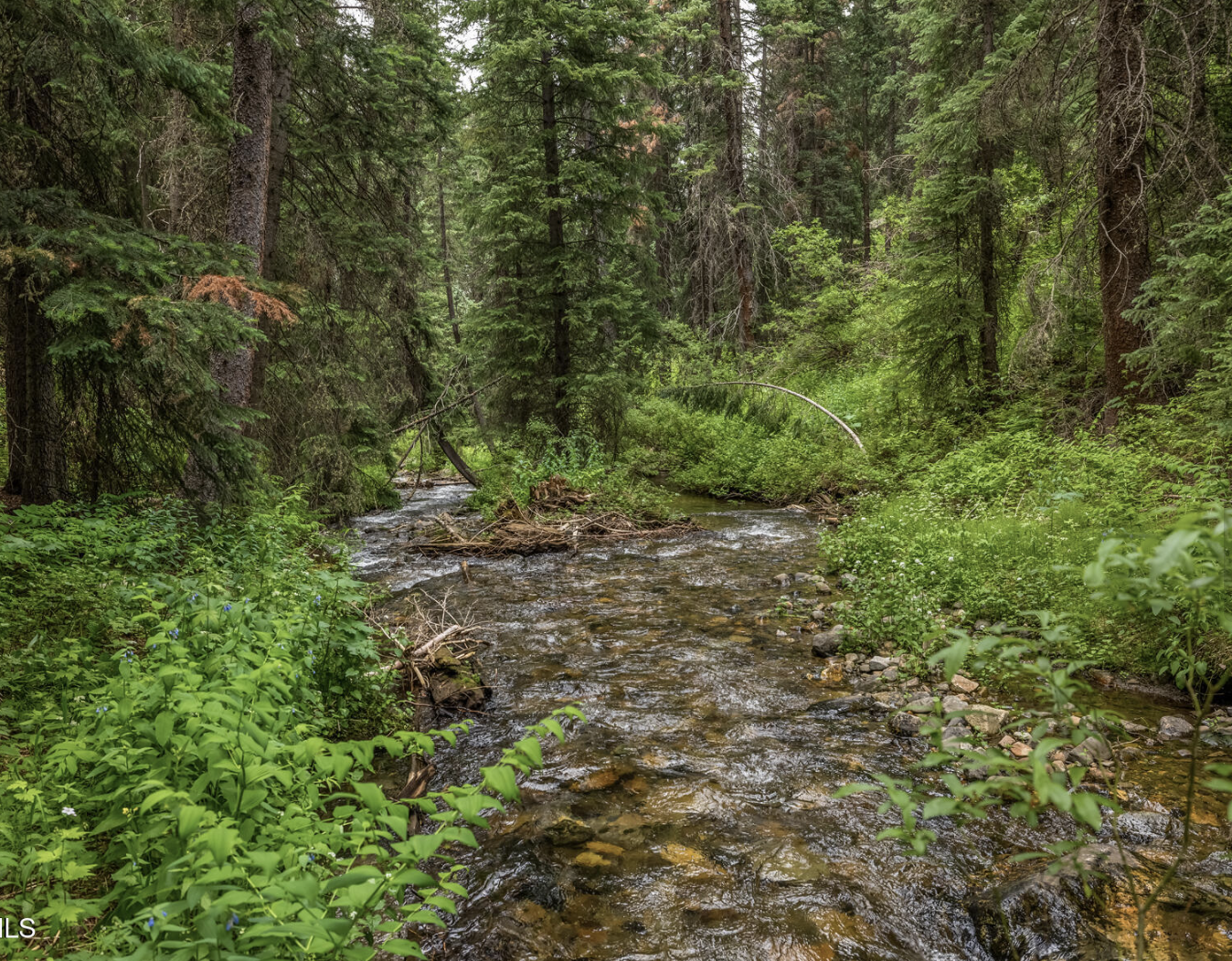 Screenshot 2026-03-14 at 12.26.20 PM.png