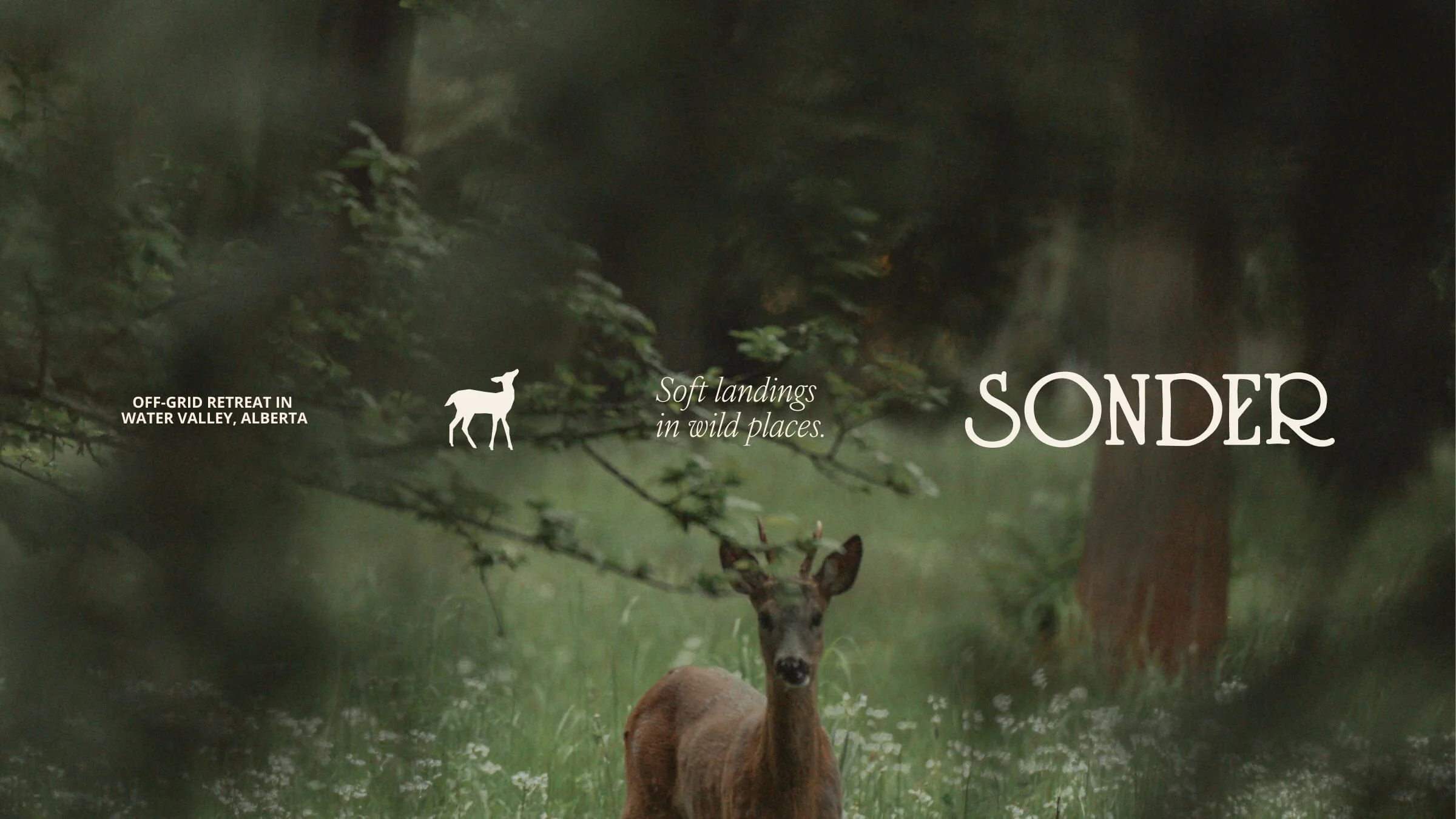 Desktop & Tablet_Hero.jpg