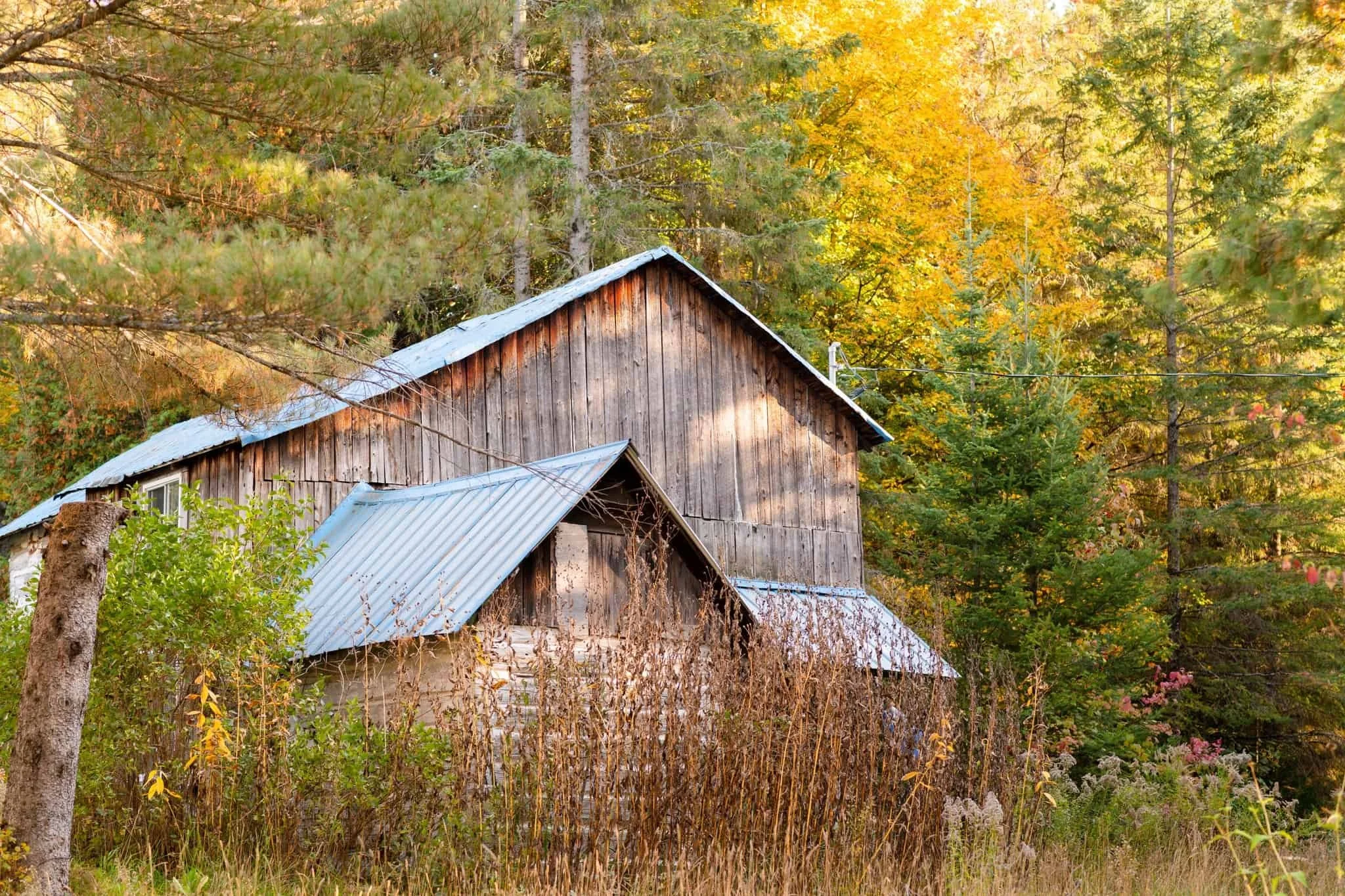 1800s Quebec log house in forest at Hummingbird Forest Gardens.