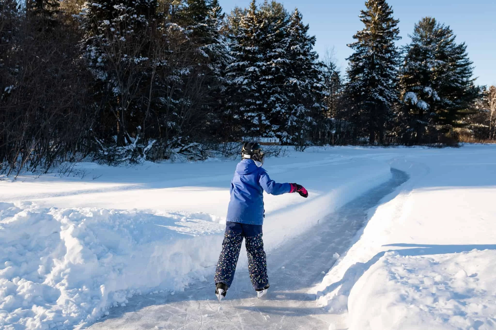 Skating on the lake on a beautiful ice-trail surrounded by large spruce trees and forest.