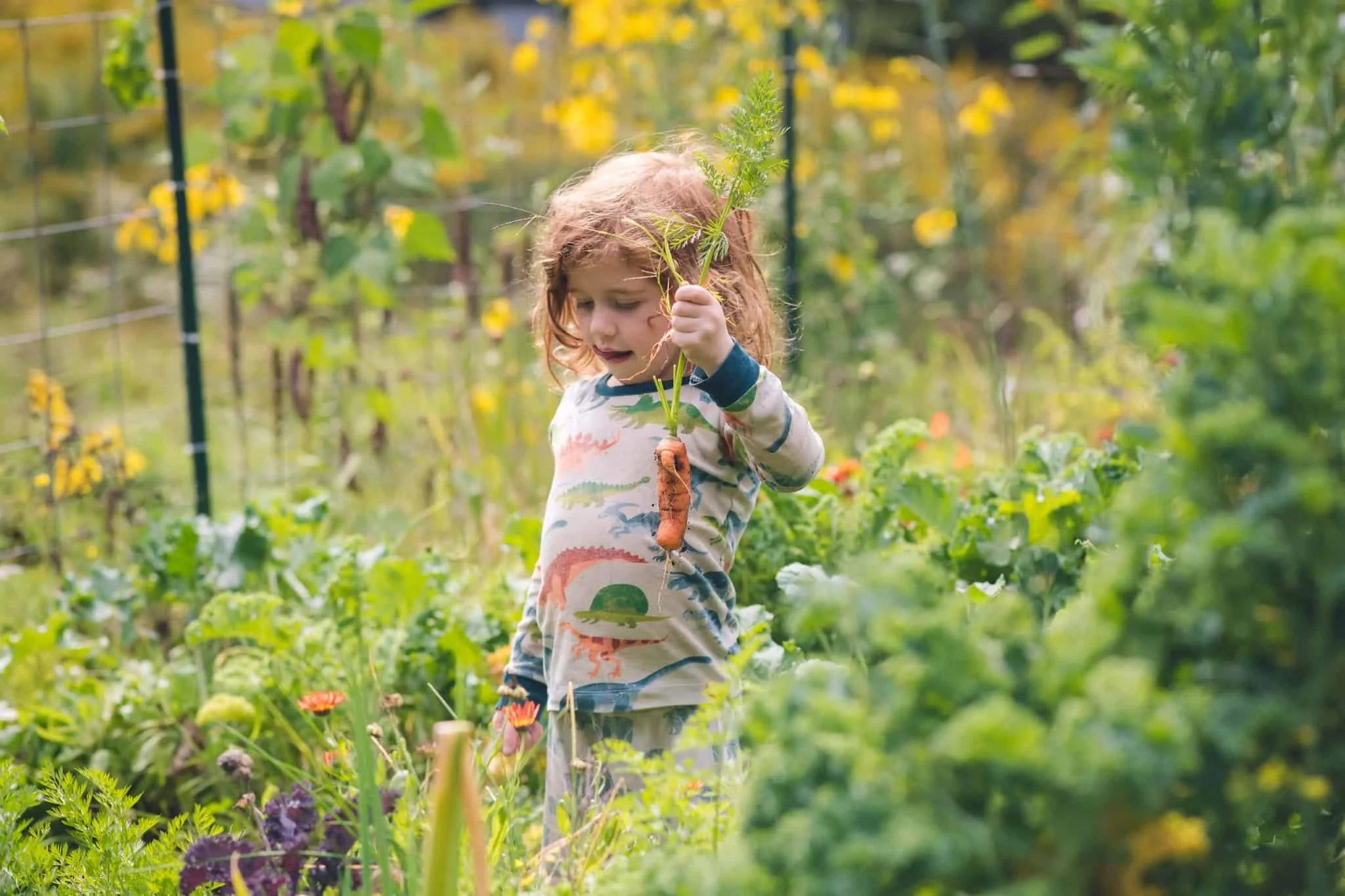 A young girl in a colorful long-sleeve shirt holds a freshly picked carrot and a leafy plant while standing in a lush garden with various plants and flowers.