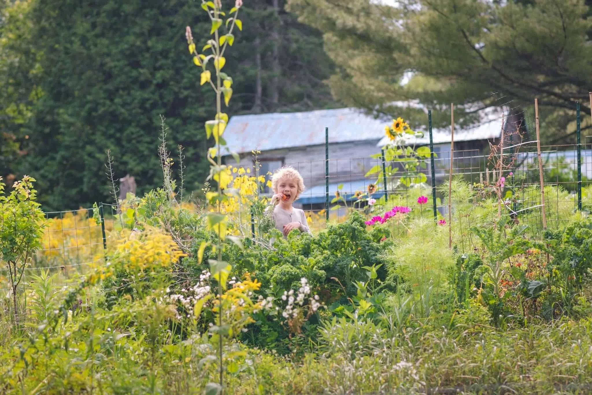 Young child with light curly hair smiling and holding a gardening tool while standing in a lush garden filled with various green plants and colorful flowers, with a rustic shed and trees in the background.