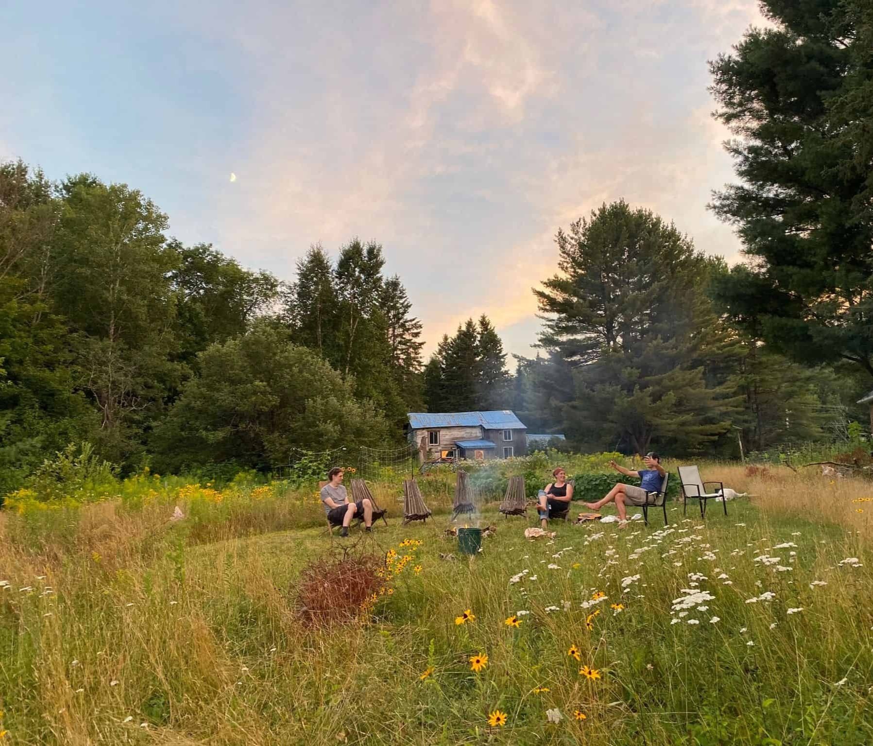 Four people sitting around a campfire in a grassy field with wildflowers in the evening, surrounded by trees and a small house in the background.