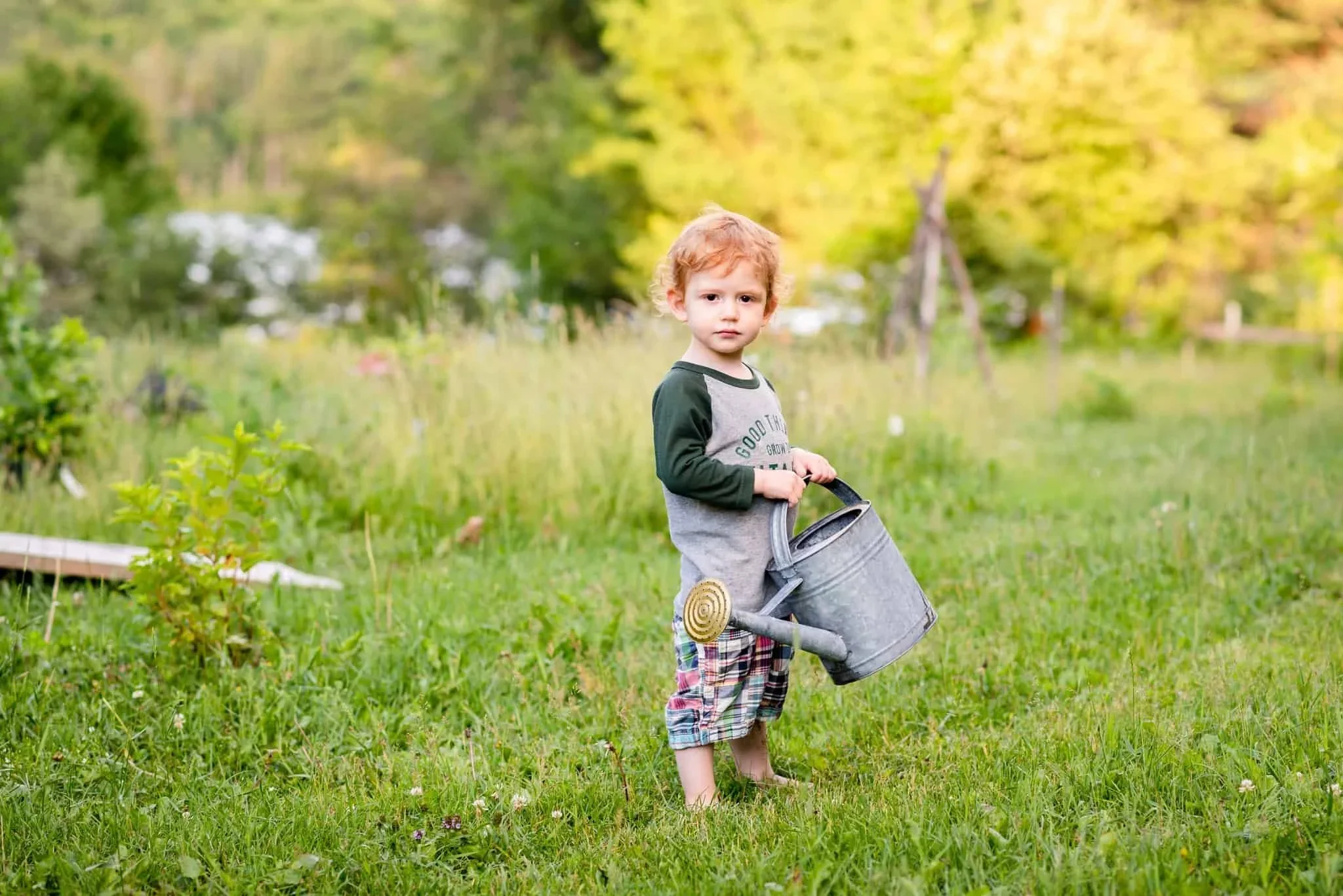 toddler-ottawa-food-forest.webp