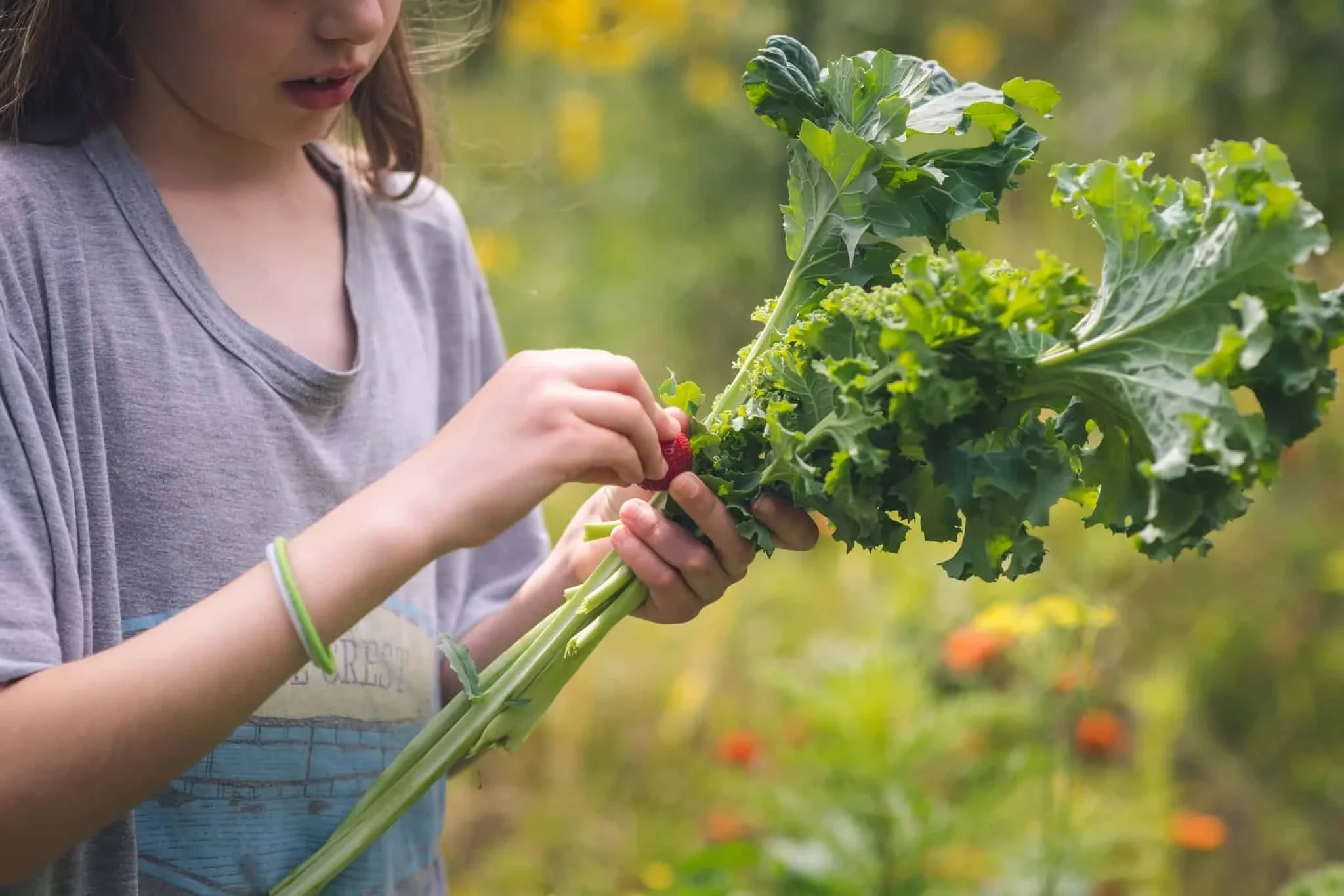 kale-strawberry-harvest-food-forest.webp