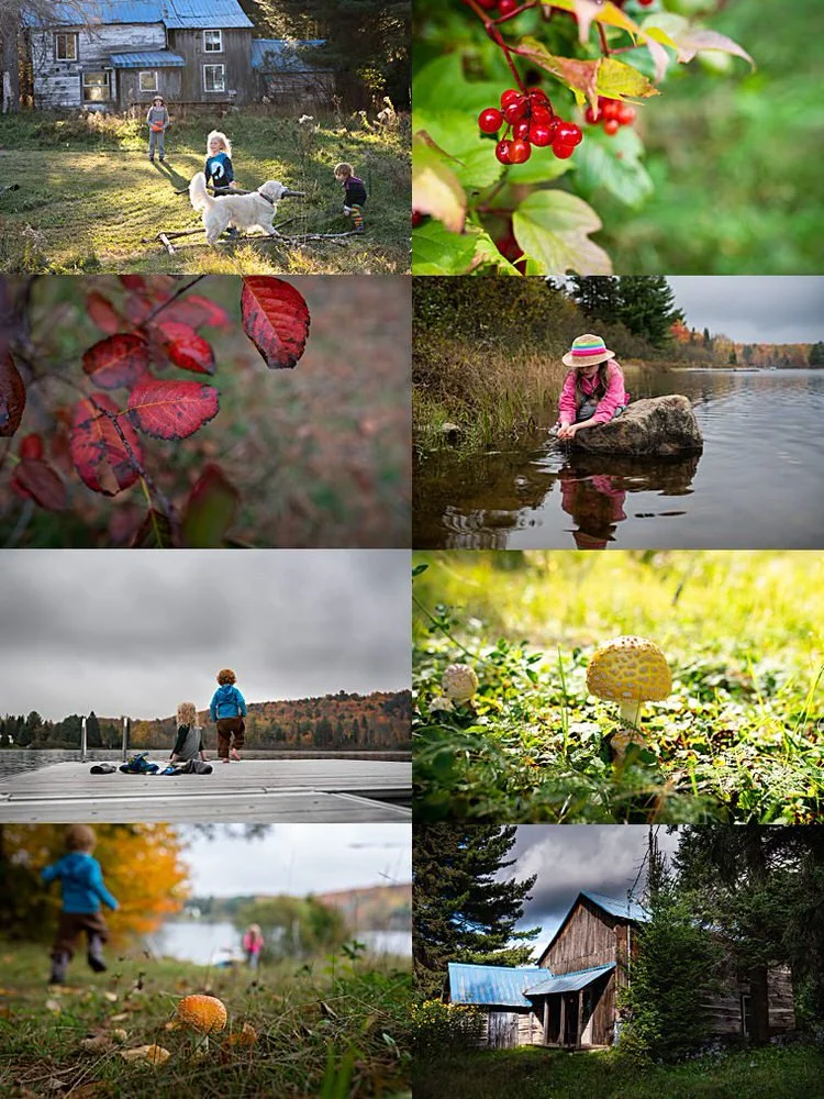 A collage of eight outdoor scenes including children playing near water, collecting berries, autumn leaves, and mushrooms, along with a rustic barn in a wooded area.