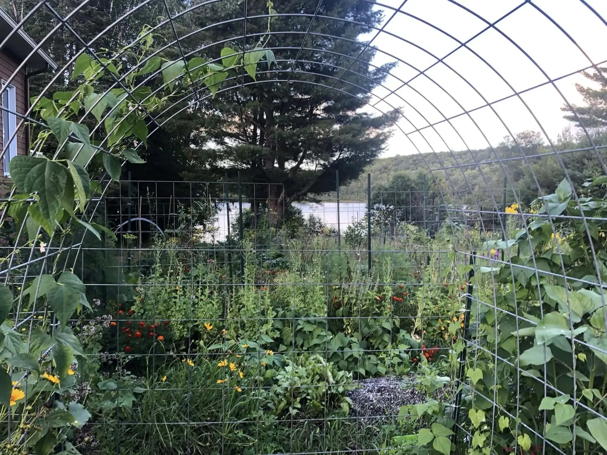 Home Depot is our gardening friend