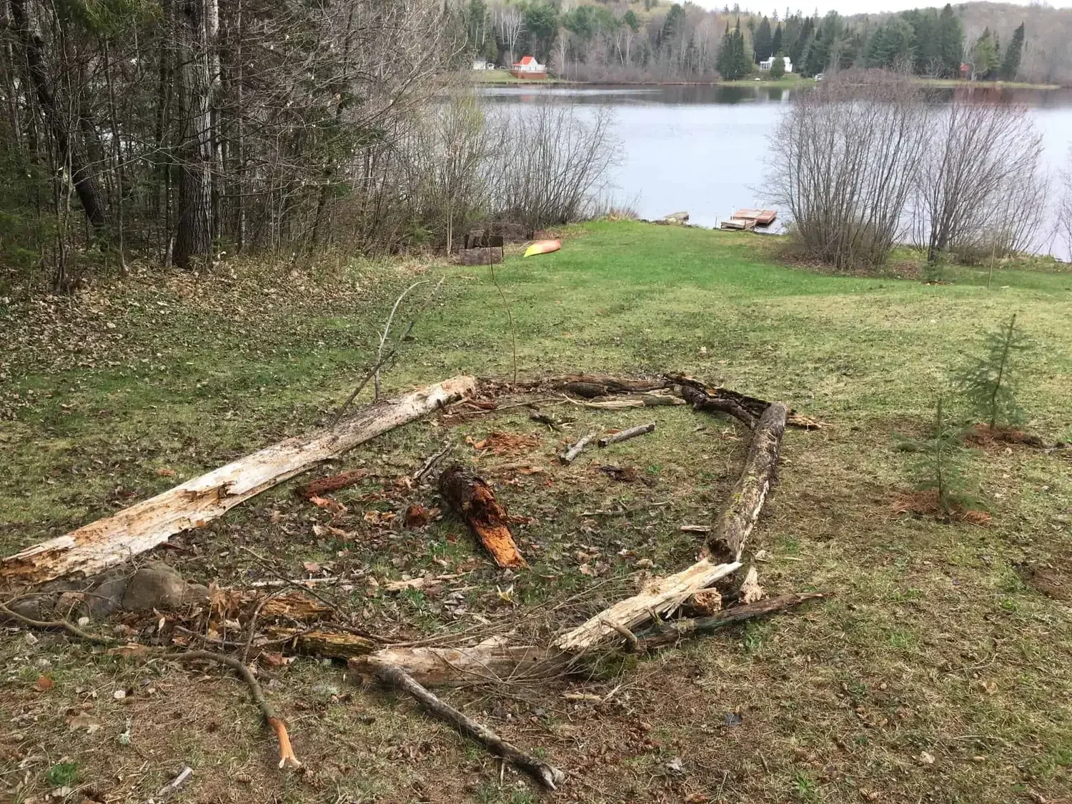 Inviting Nature to take the lead here