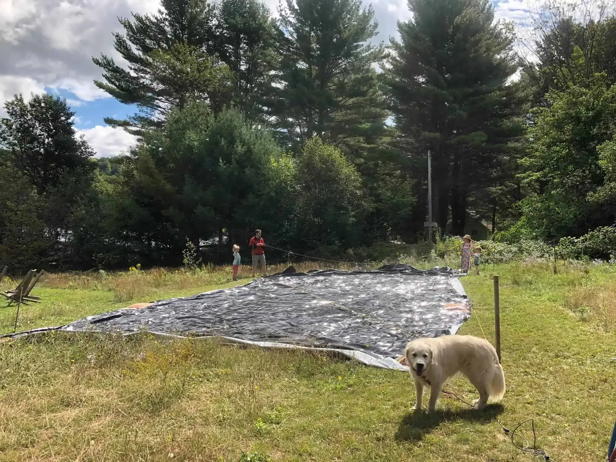 Sillage Tarp down