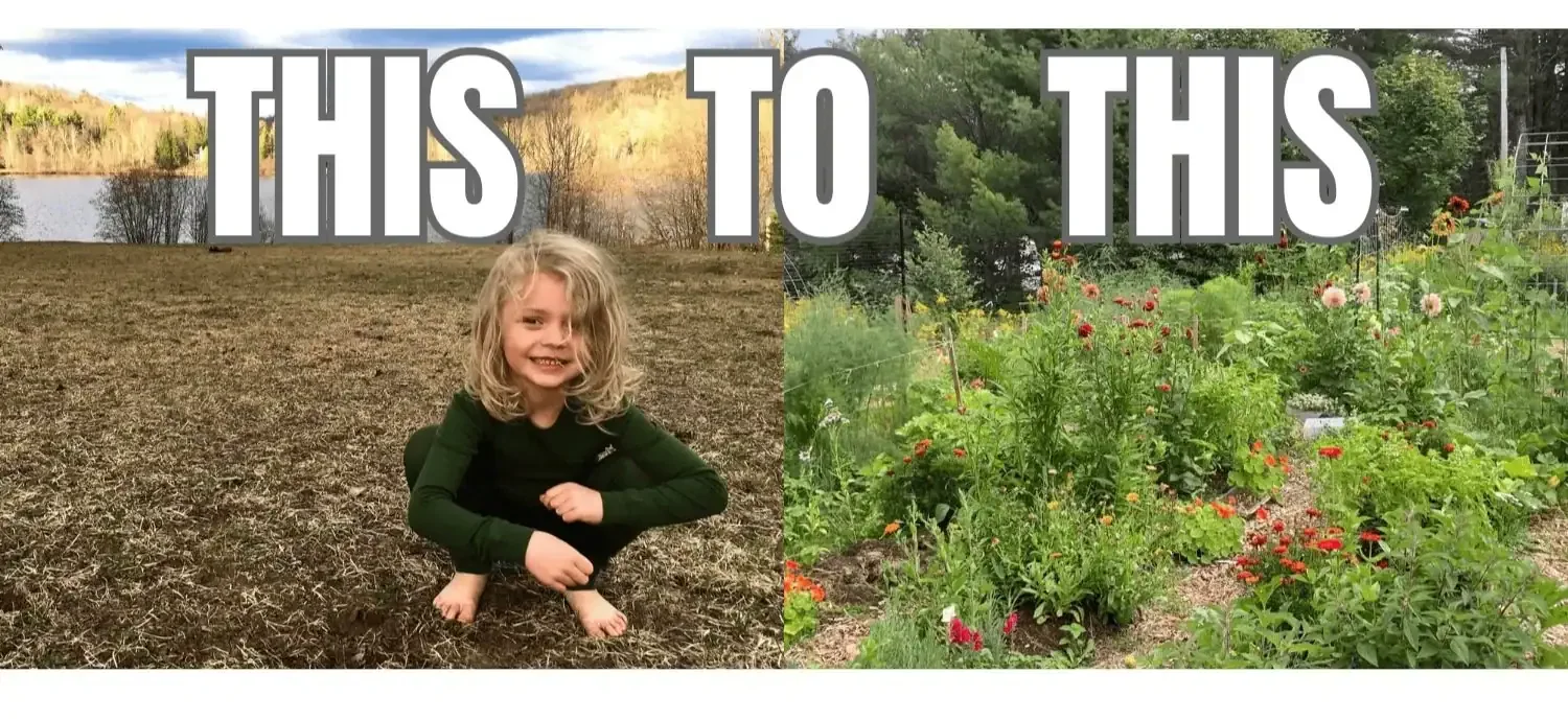 Occultation: How Our Zone 4 Quebec Food Forest Began